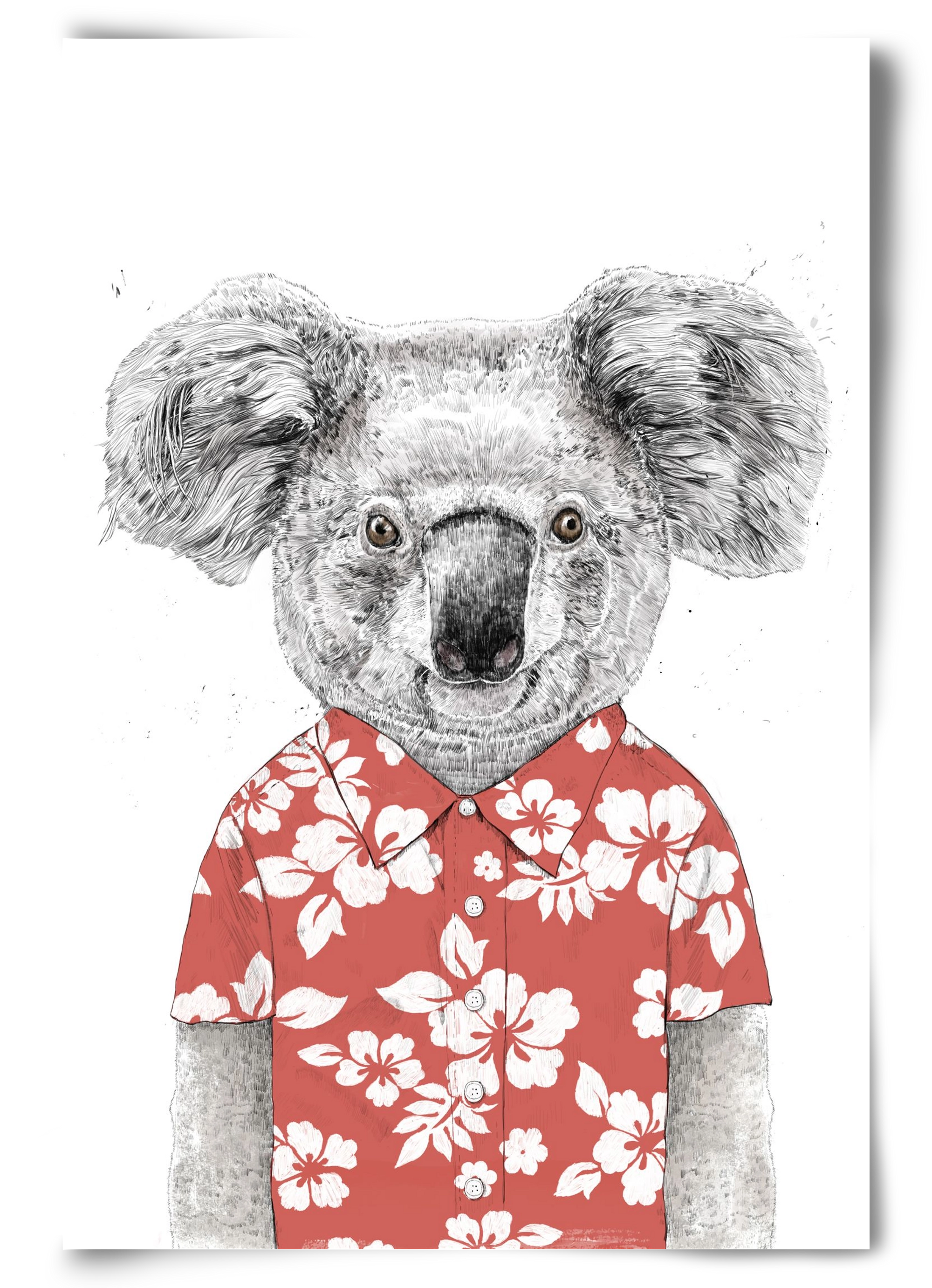 Summer koala (red), 60x90 cm, Keret nélkül