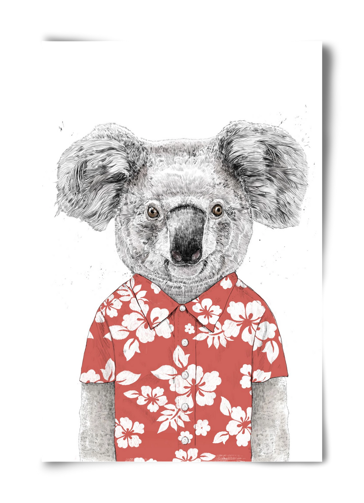 Summer koala (red), 40x60 cm, Keret nélkül