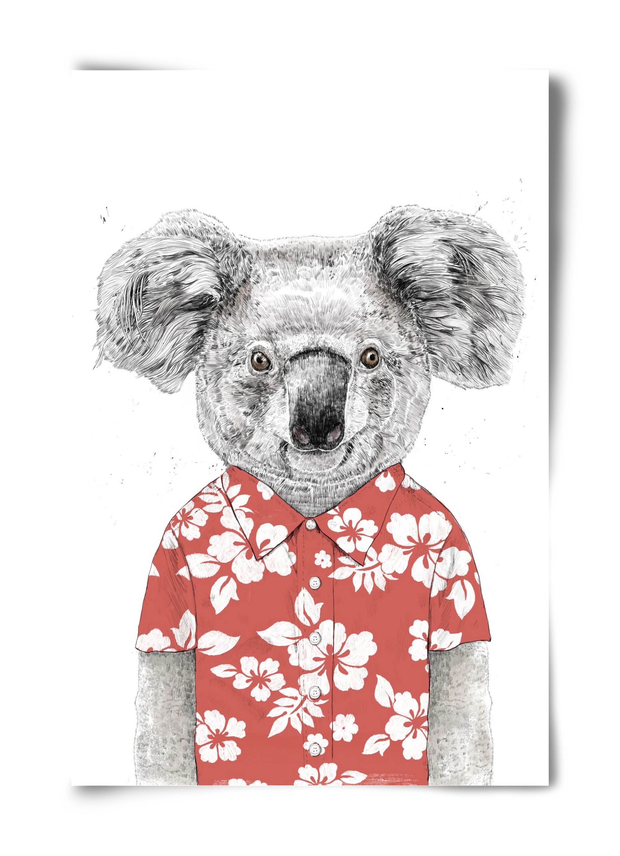 Summer koala (red), 40x60 cm, Keret nélkül