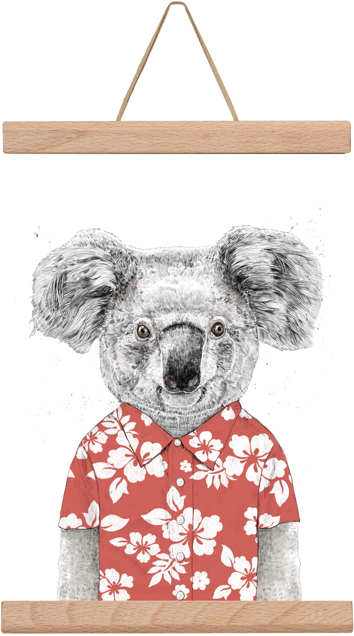 Summer koala (red), 20x30 cm (20x30 cm), Tölgy akasztó