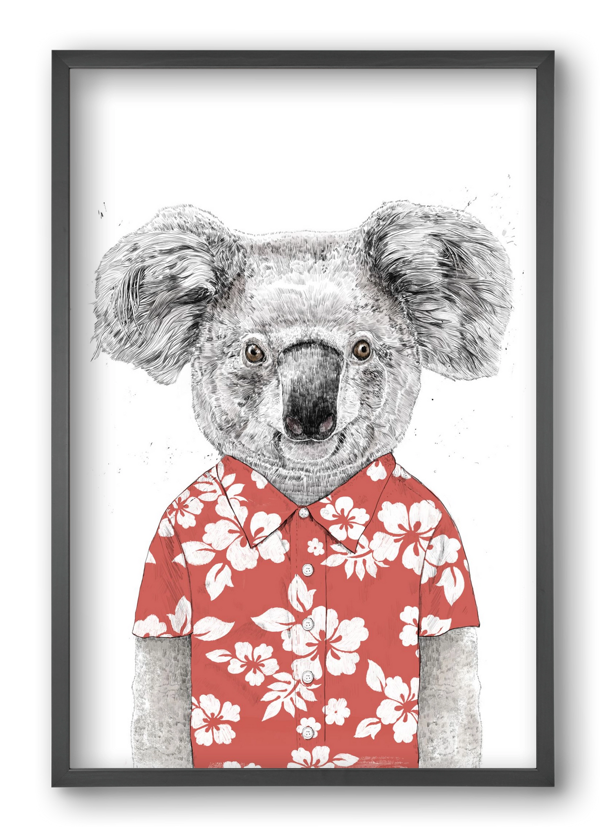 Summer koala (red), 40x60 cm (40x60 cm), Fekete keret