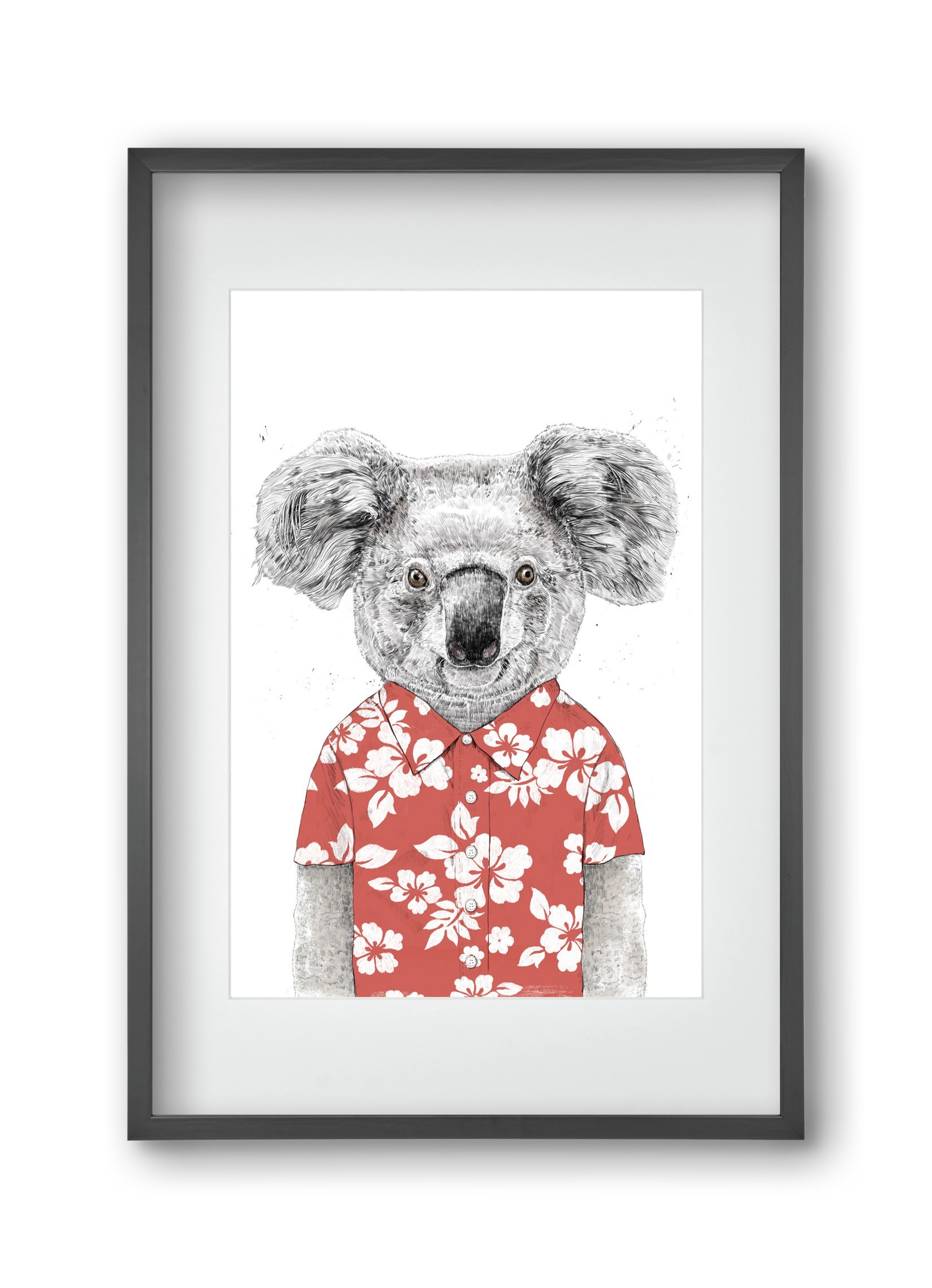 Summer koala (red), 30x45 cm (20x30 cm), Fekete keret, paszpartuval