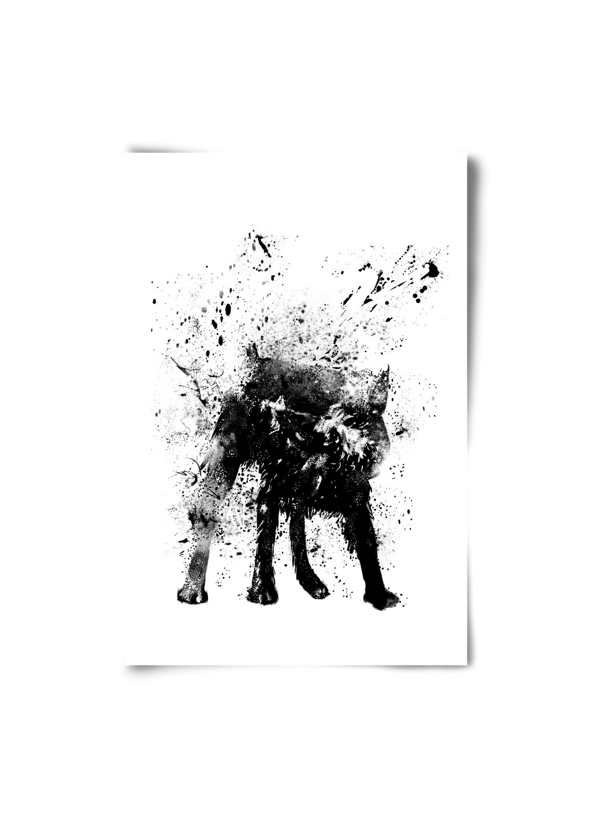 Wet dog, 20x30 cm, Keret nélkül