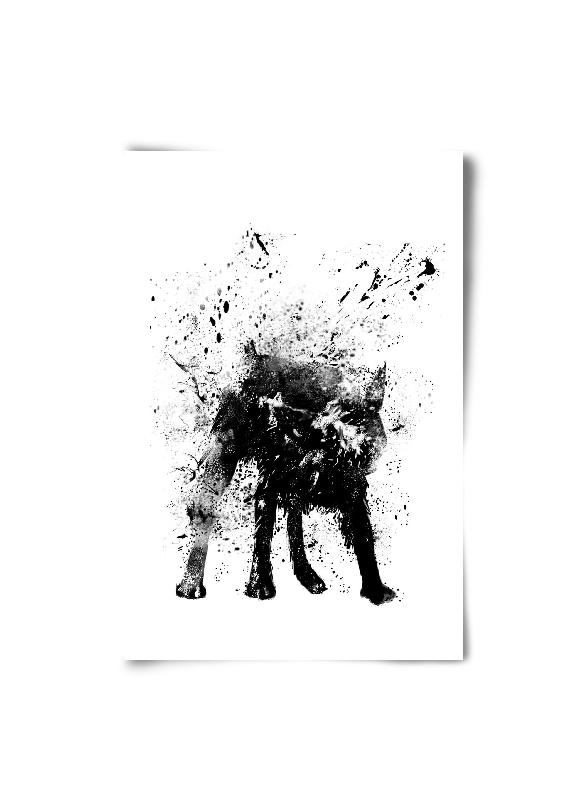 Wet dog, 20x30 cm, Keret nélkül