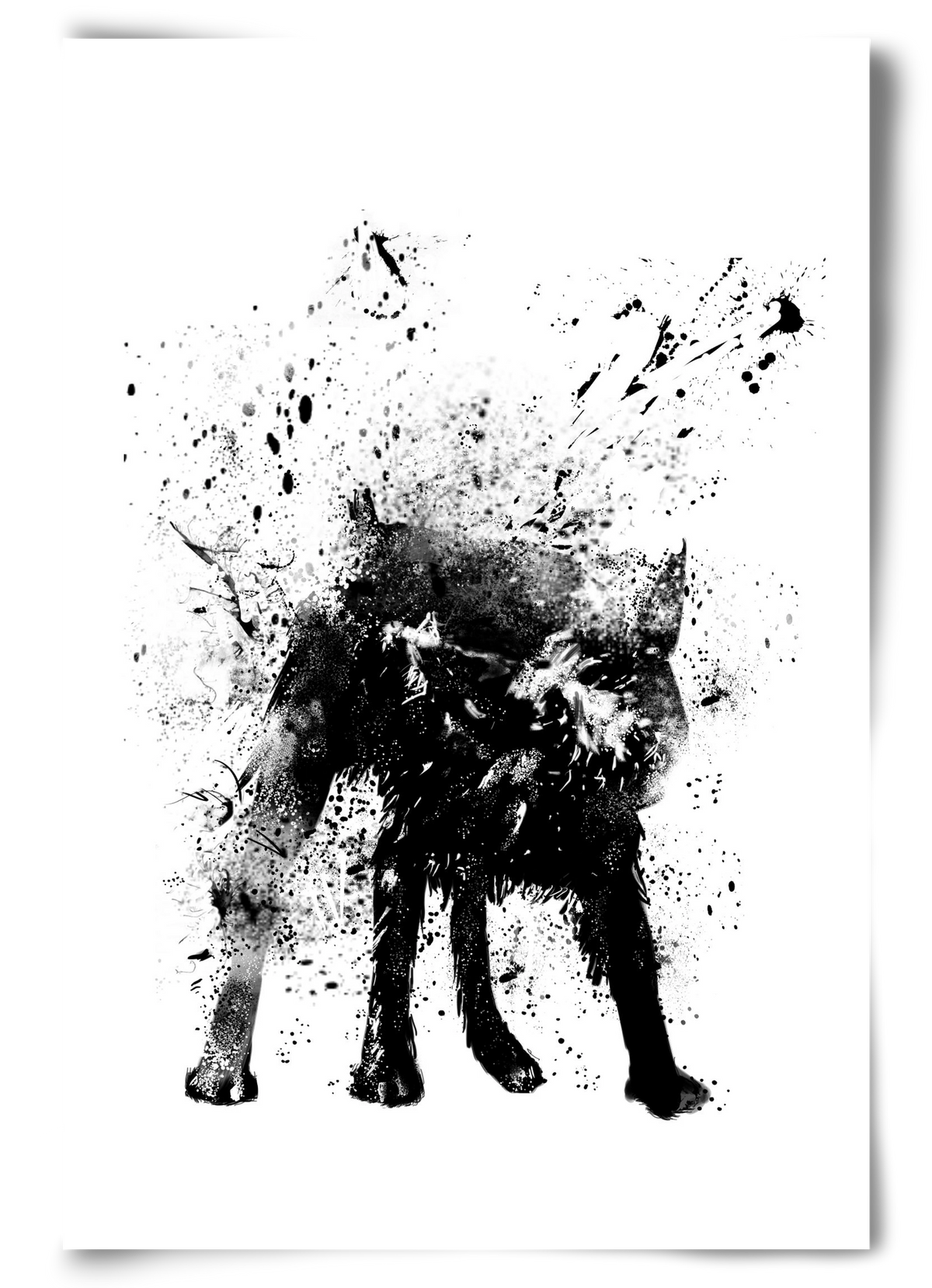 Wet dog, 60x90 cm, Keret nélkül