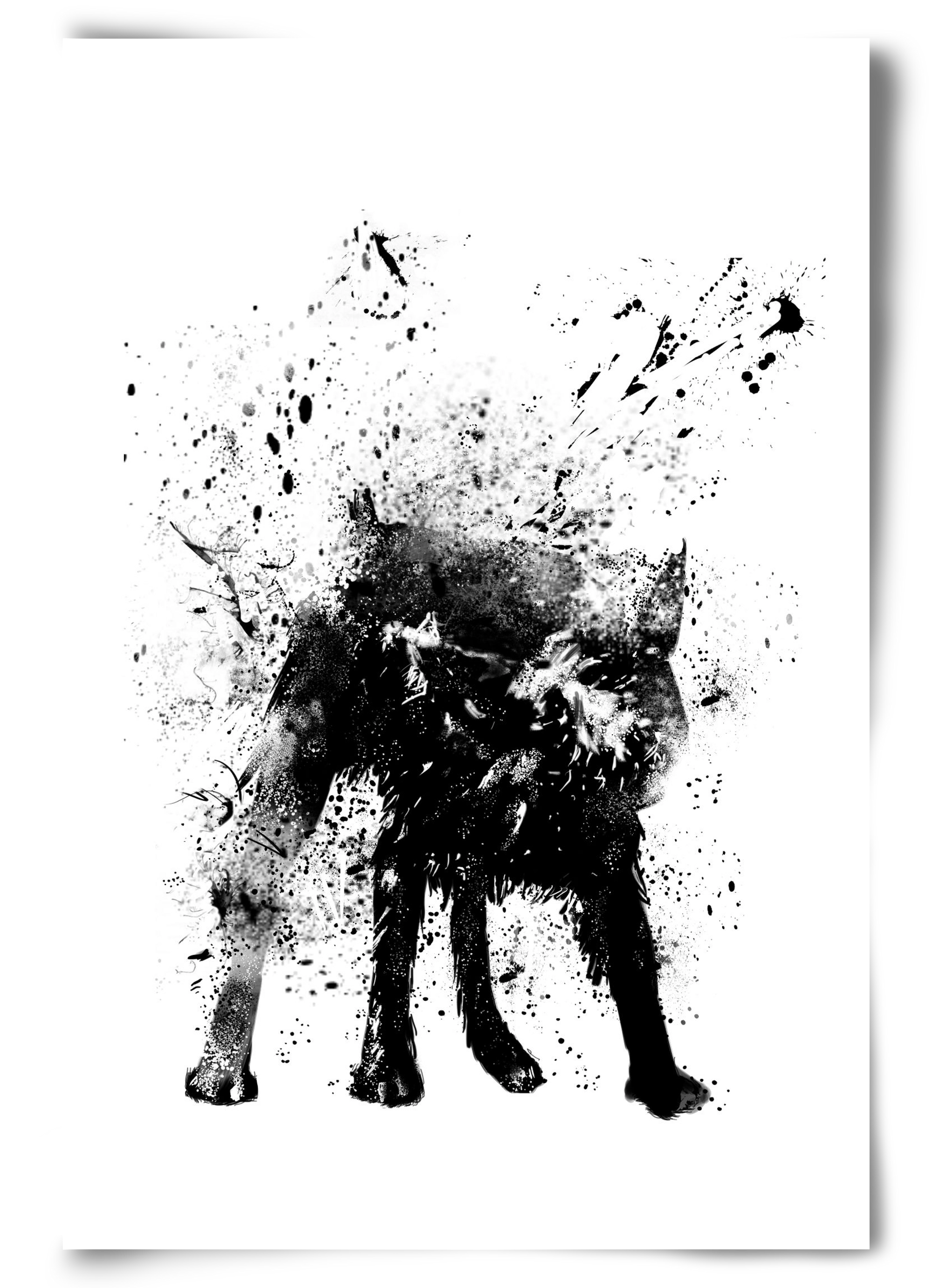 Wet dog, 60x90 cm, Keret nélkül