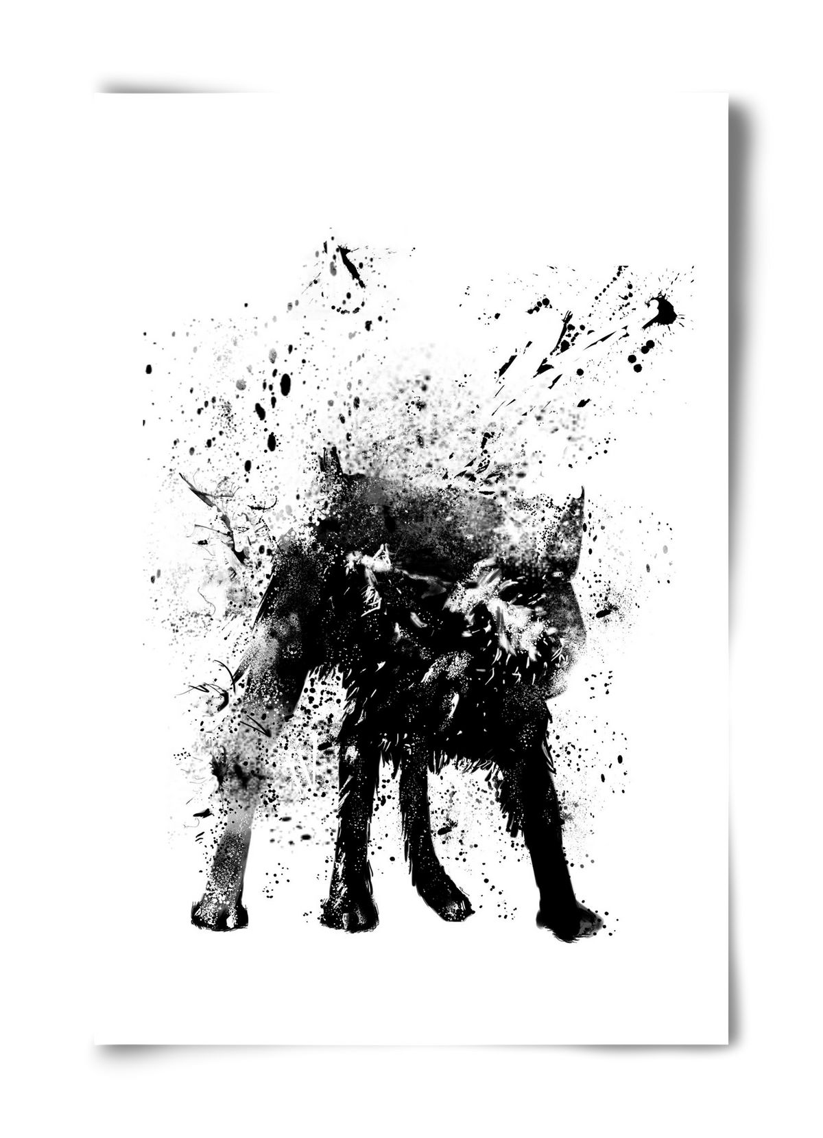 Wet dog, 40x60 cm, Keret nélkül