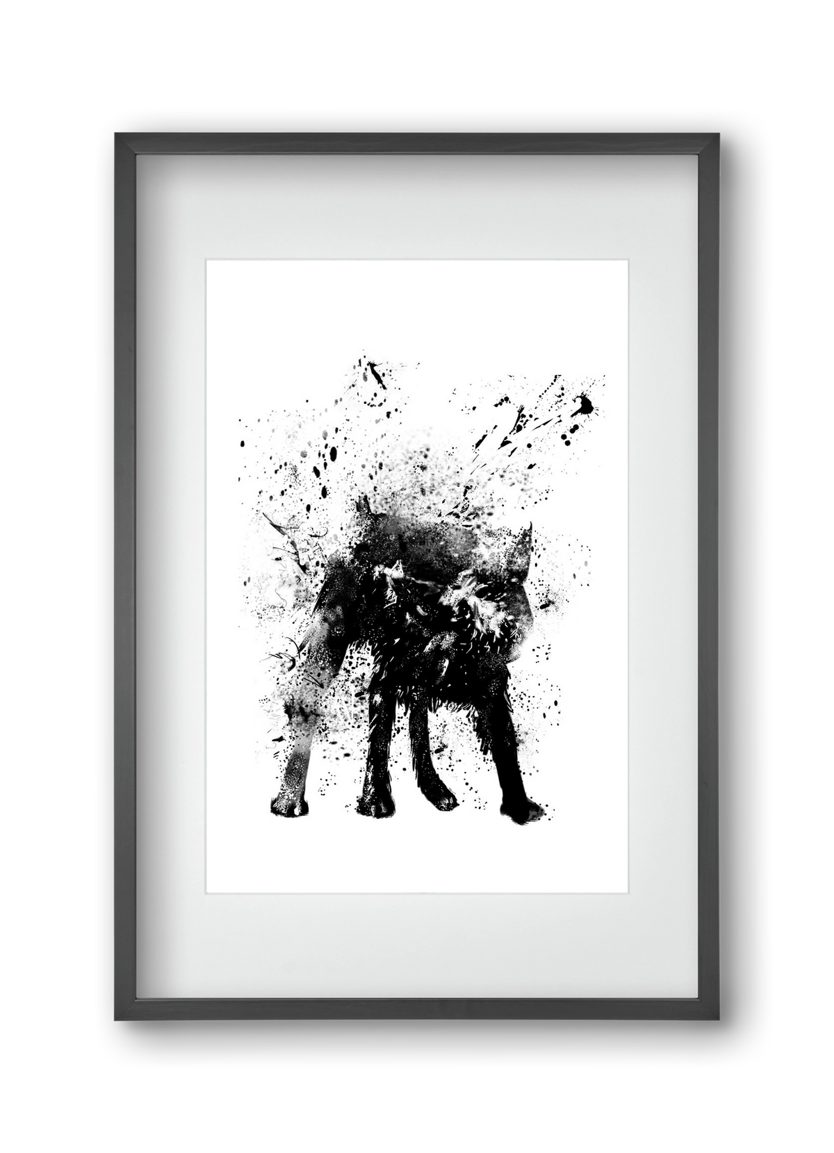 Wet dog, 30x45 cm (20x30 cm), Fekete keret, paszpartuval