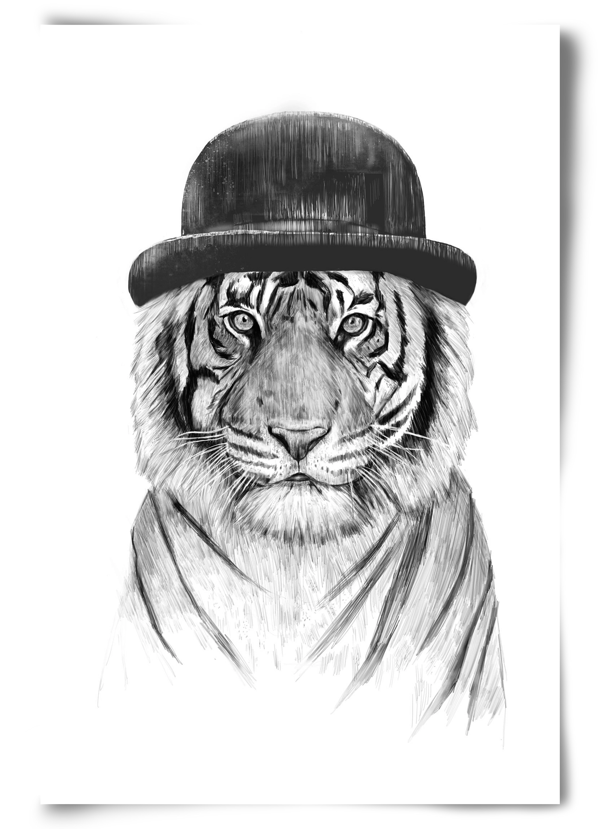 Welcome to the jungle, 60x90 cm, Keret nélkül