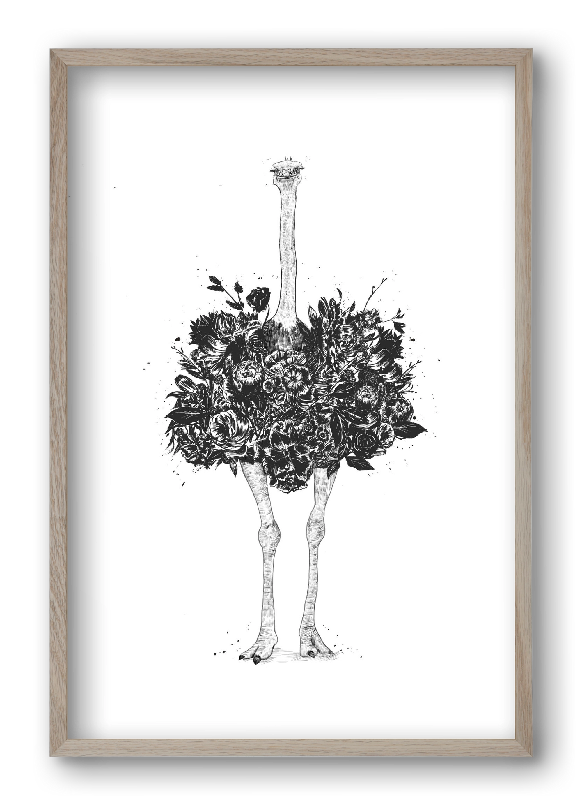 Floral ostrich, 40x60 cm (40x60 cm), Tölgy keret