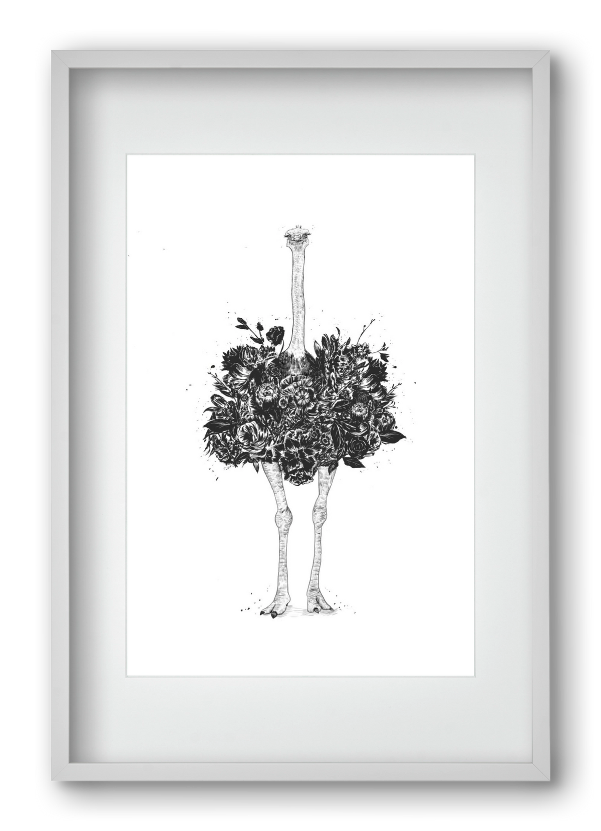 Floral ostrich, 40x60 cm (30x45 cm), Fehér keret, paszpartuval