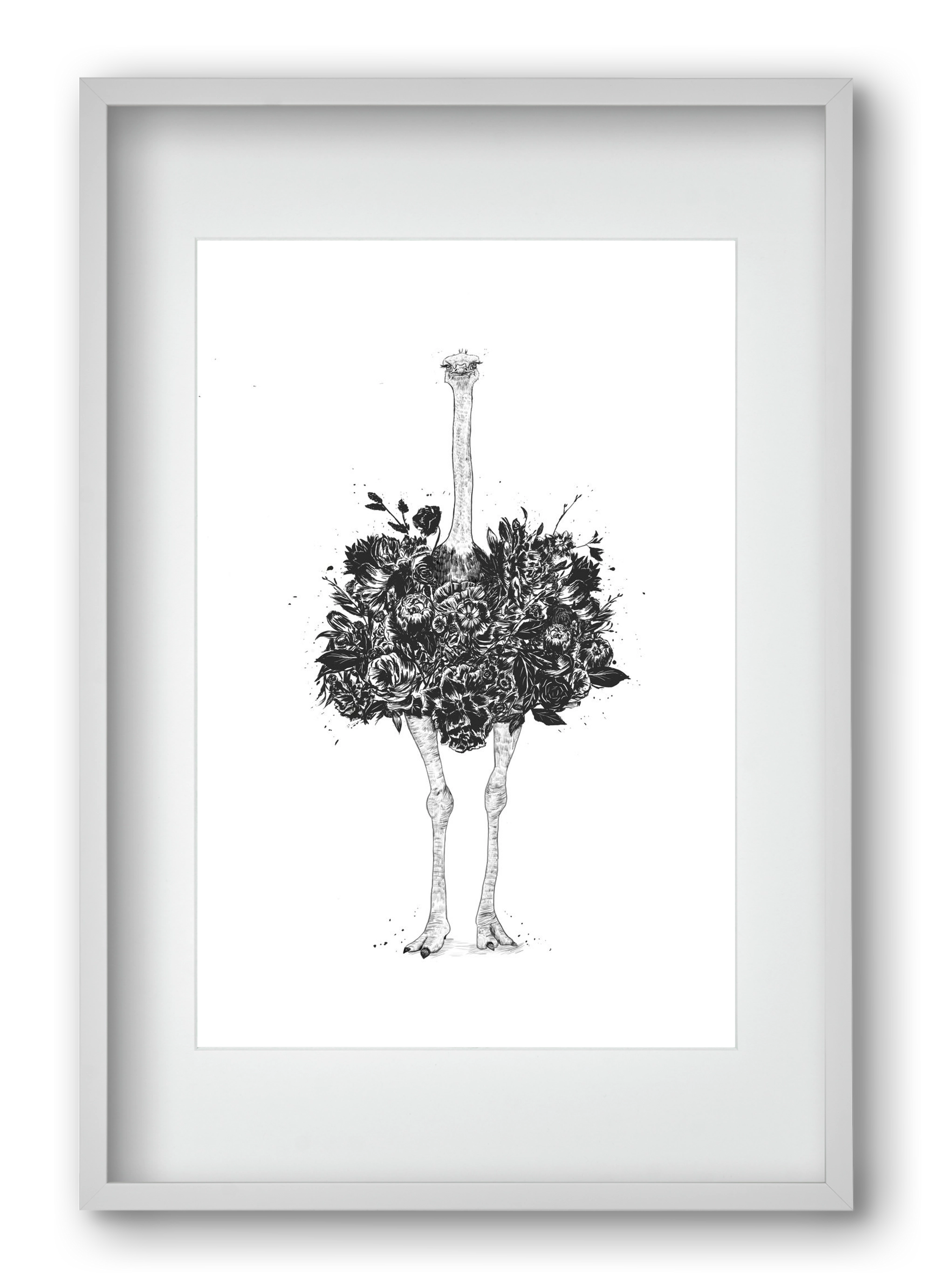 Floral ostrich, 40x60 cm (30x45 cm), Fehér keret, paszpartuval