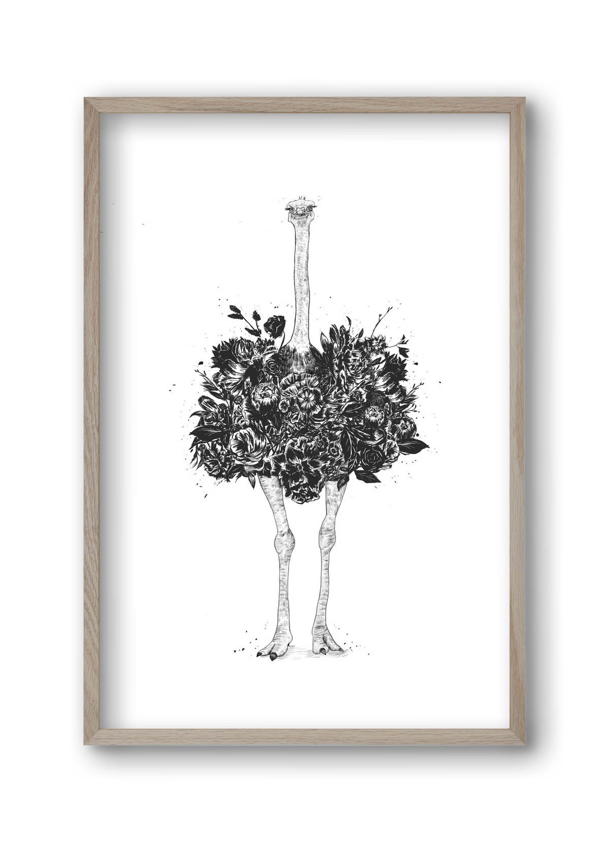 Floral ostrich, 30x45 cm (30x45 cm), Tölgy keret