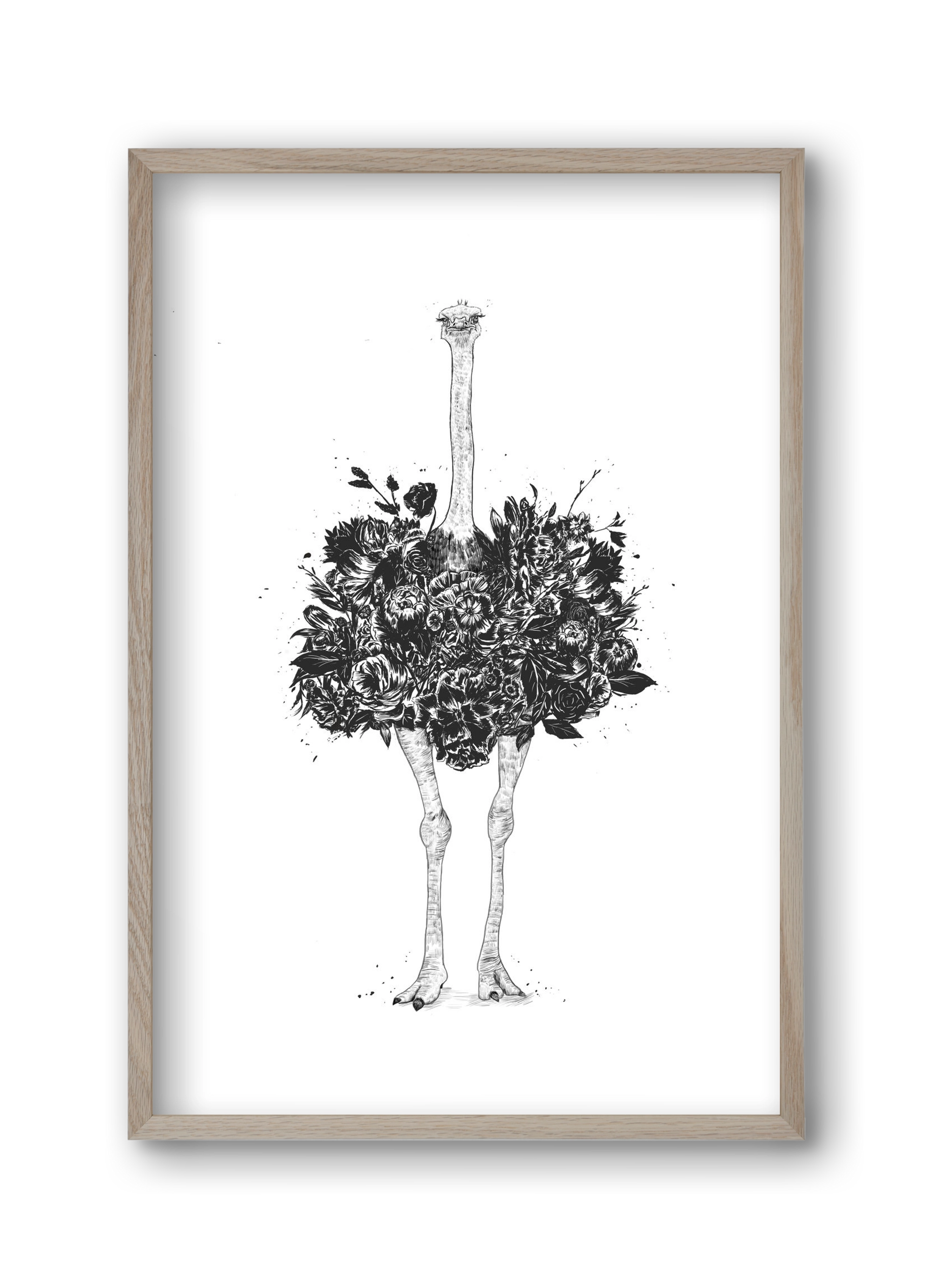 Floral ostrich, 30x45 cm (30x45 cm), Tölgy keret
