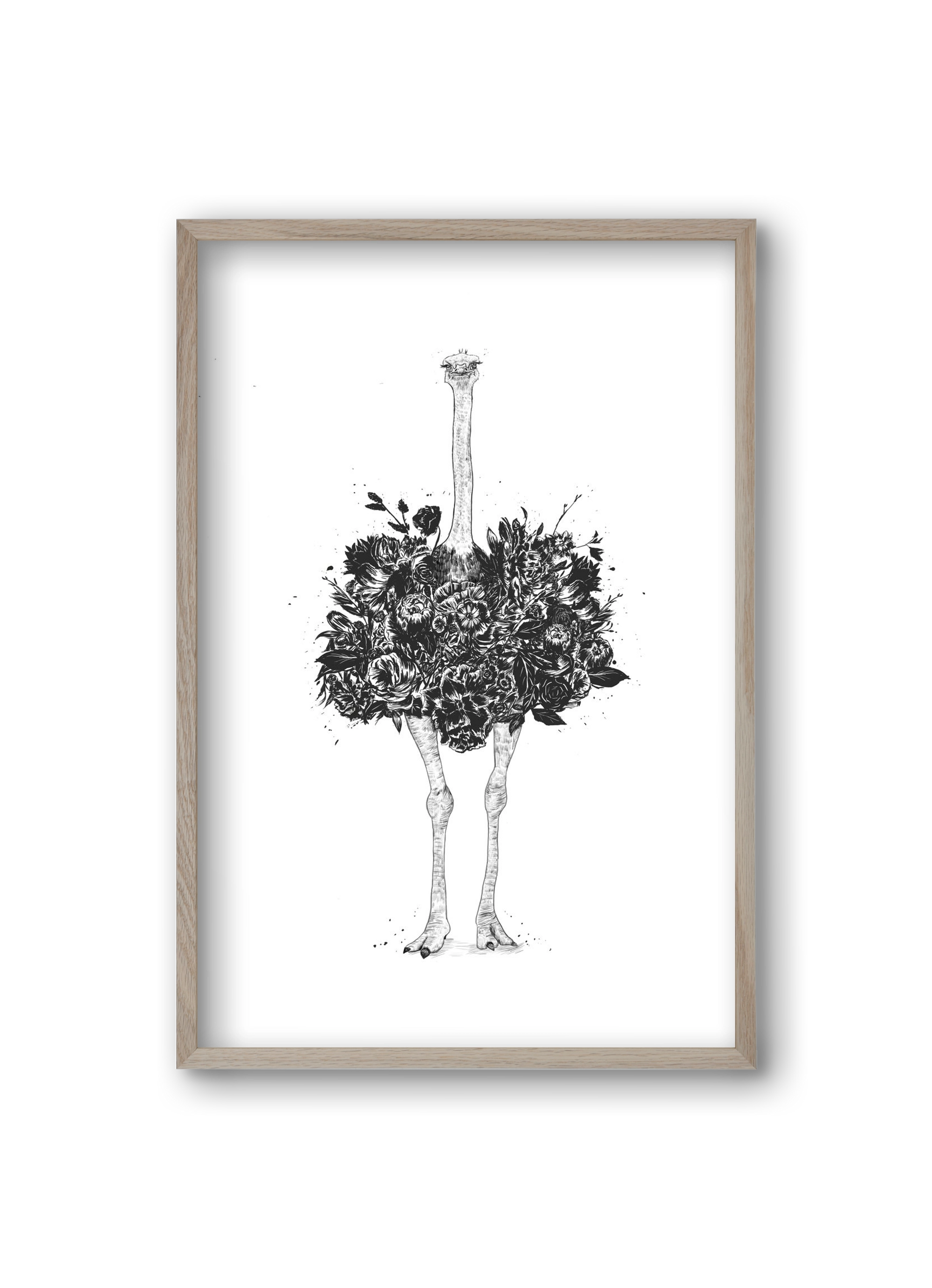 Floral ostrich, 20x30 cm (20x30 cm), Tölgy keret