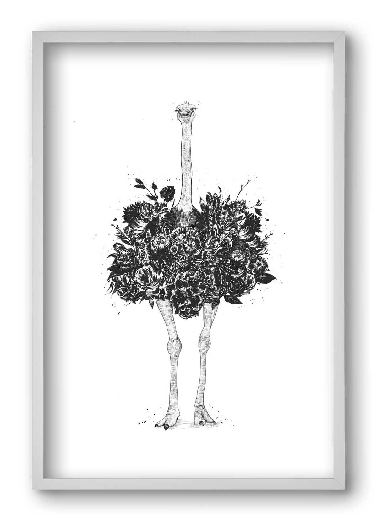 Floral ostrich, 40x60 cm (40x60 cm), Fehér keret