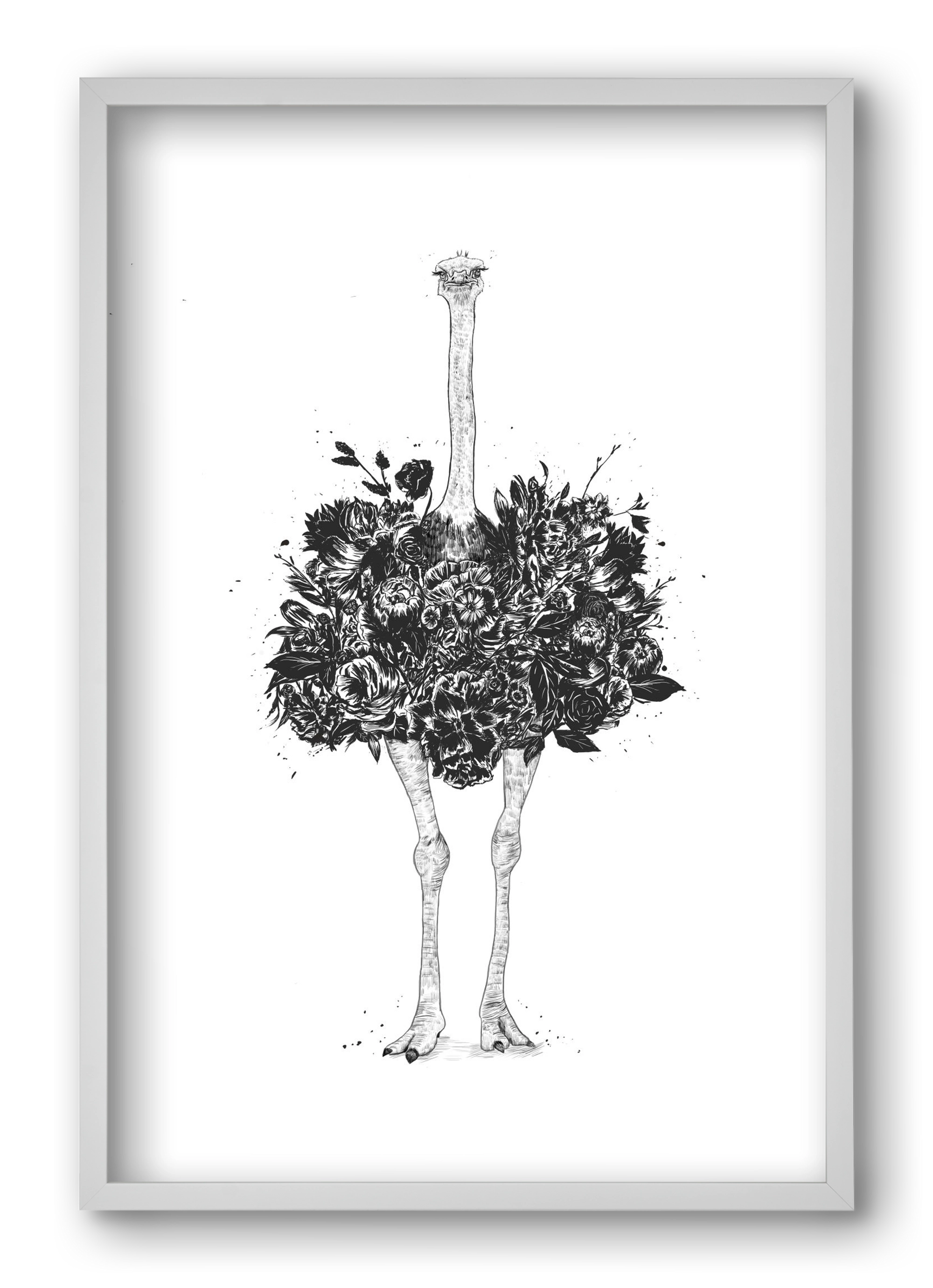 Floral ostrich, 40x60 cm (40x60 cm), Fehér keret