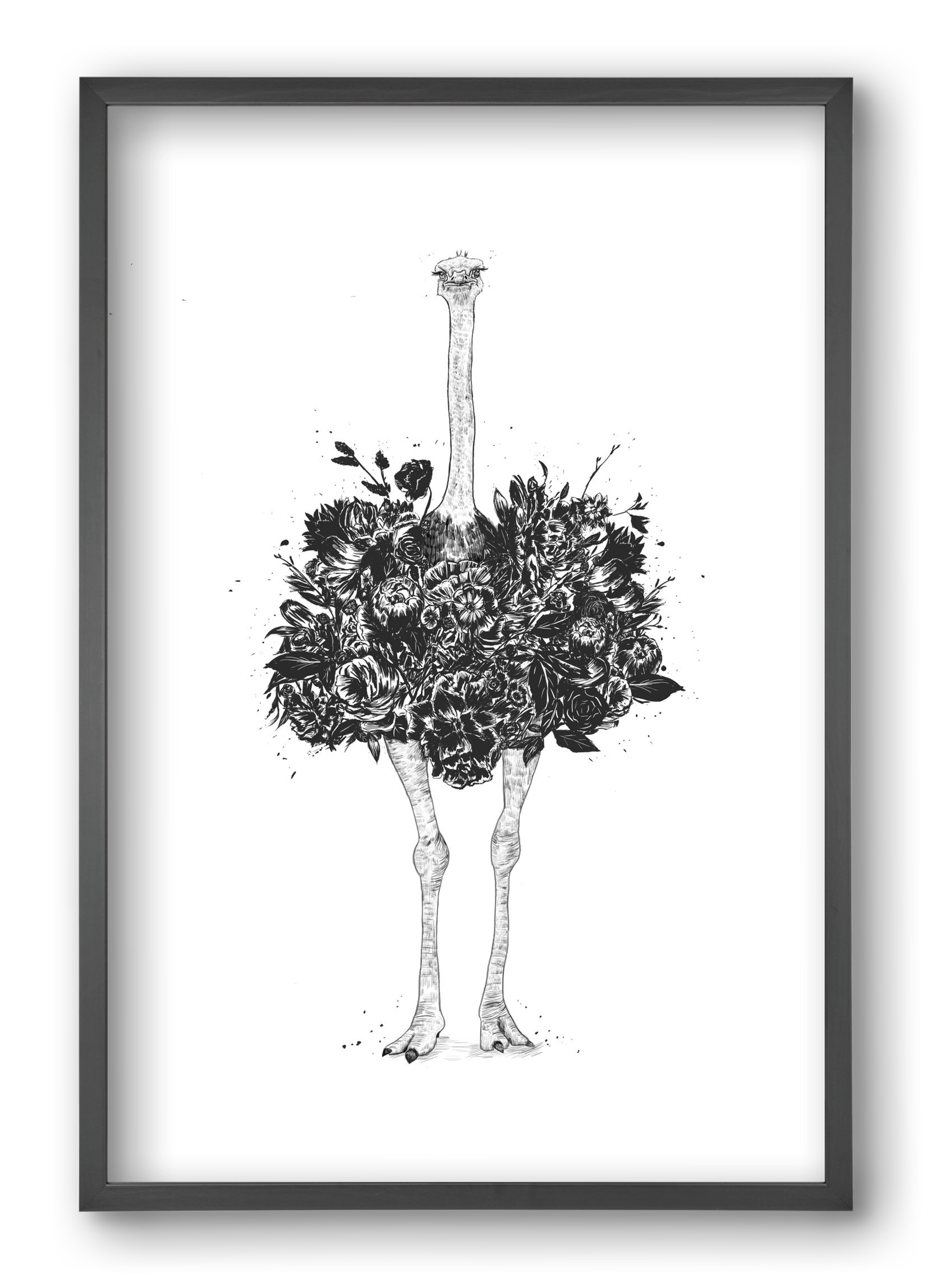 Floral ostrich, 40x60 cm (40x60 cm), Fekete keret