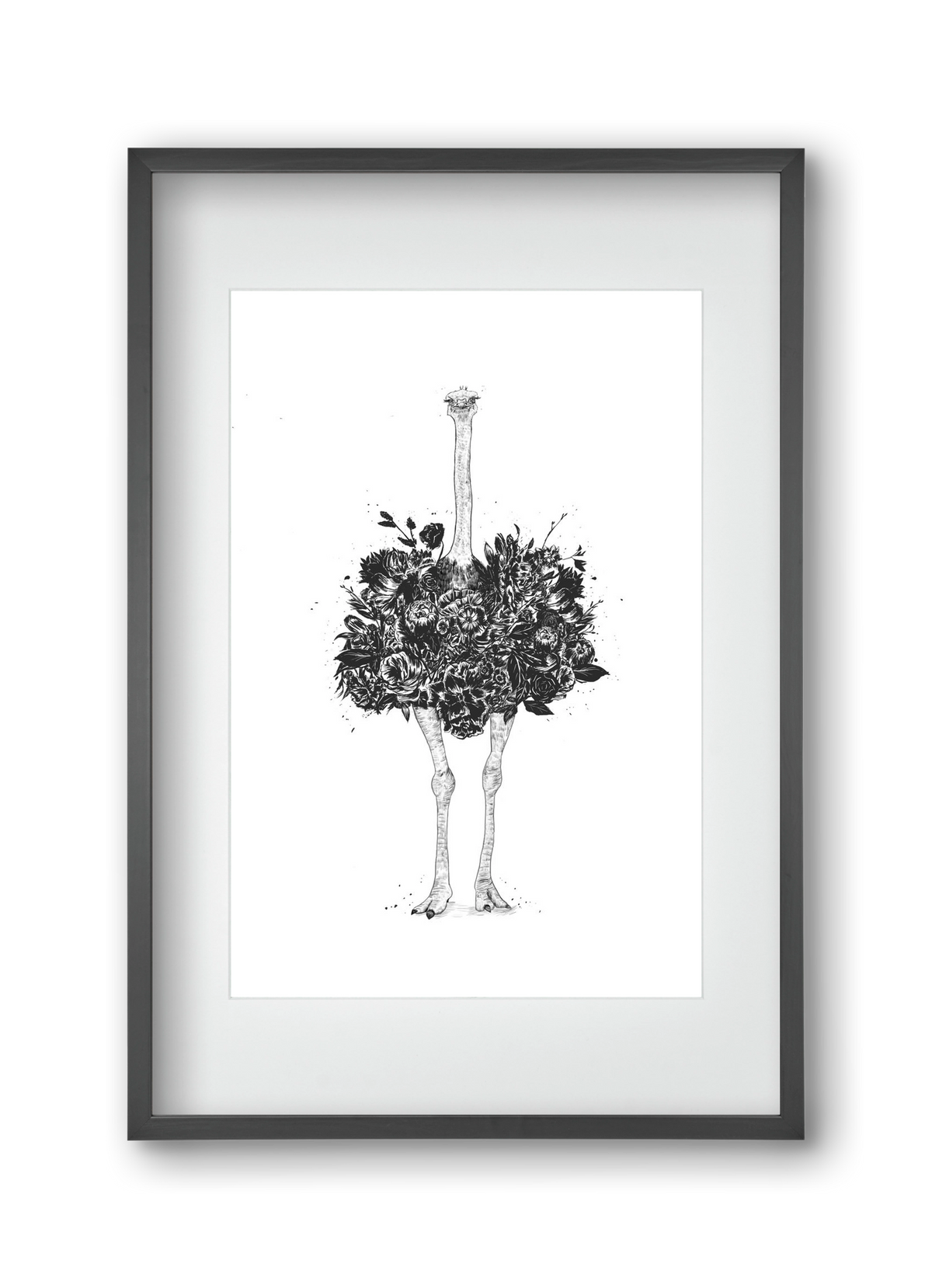 Floral ostrich, 30x45 cm (20x30 cm), Fekete keret, paszpartuval