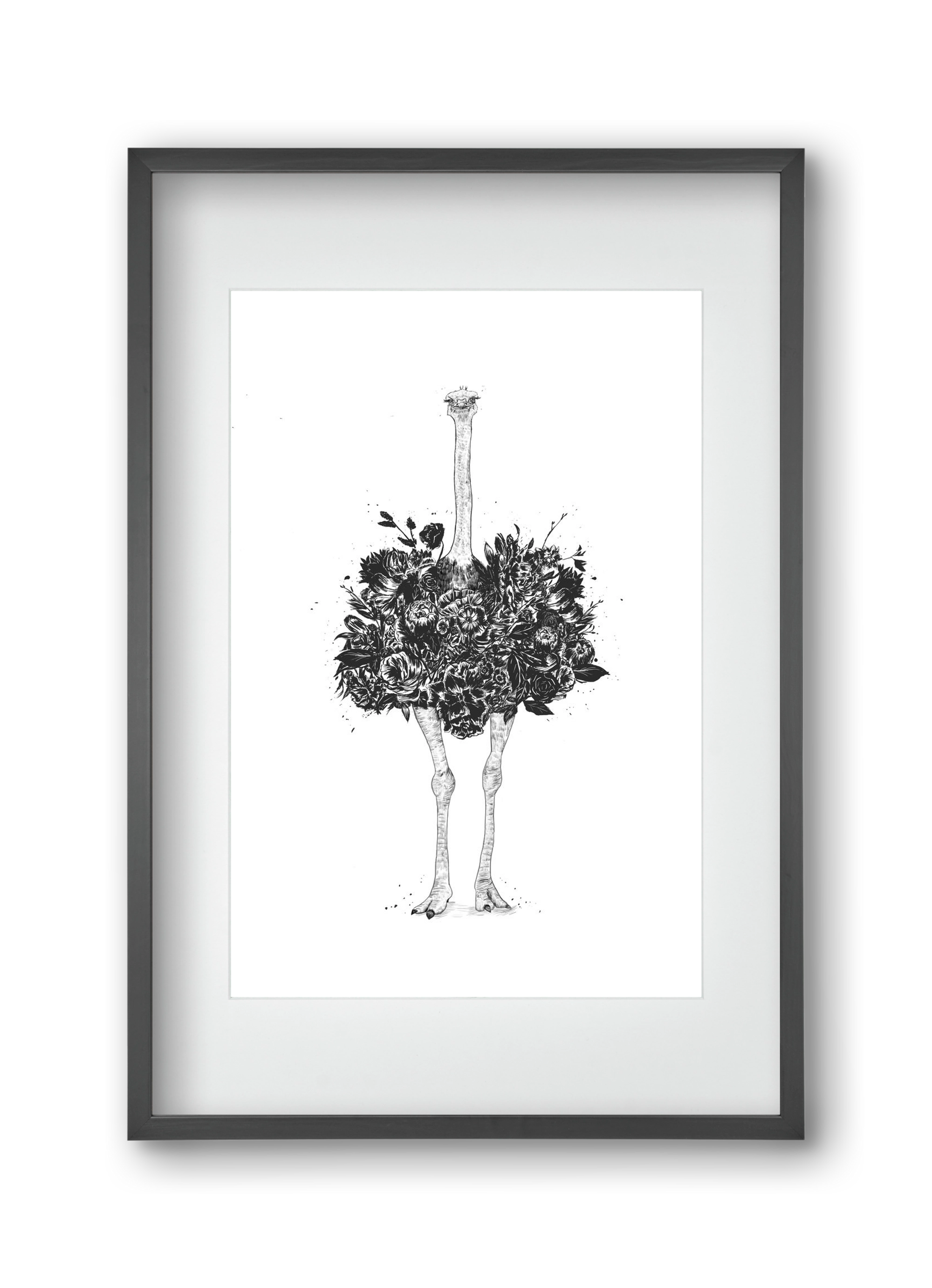 Floral ostrich, 30x45 cm (20x30 cm), Fekete keret, paszpartuval
