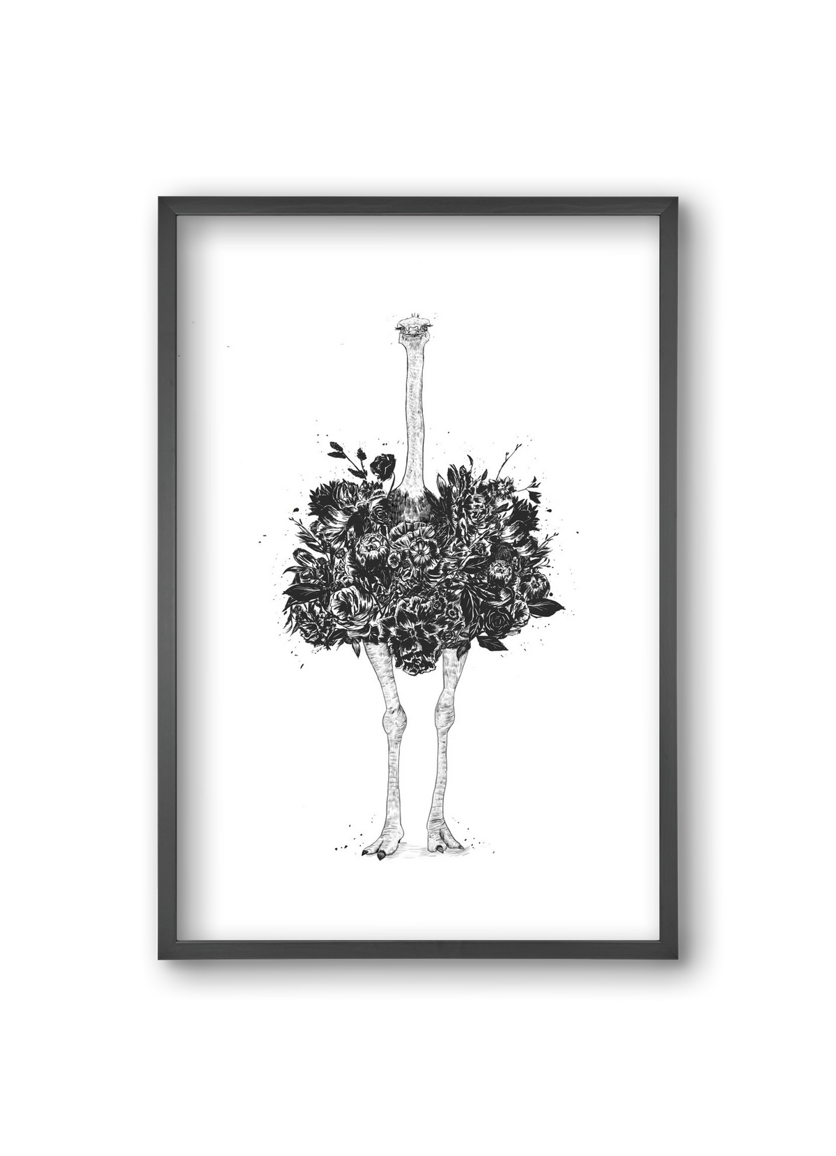 Floral ostrich, 20x30 cm (20x30 cm), Fekete keret