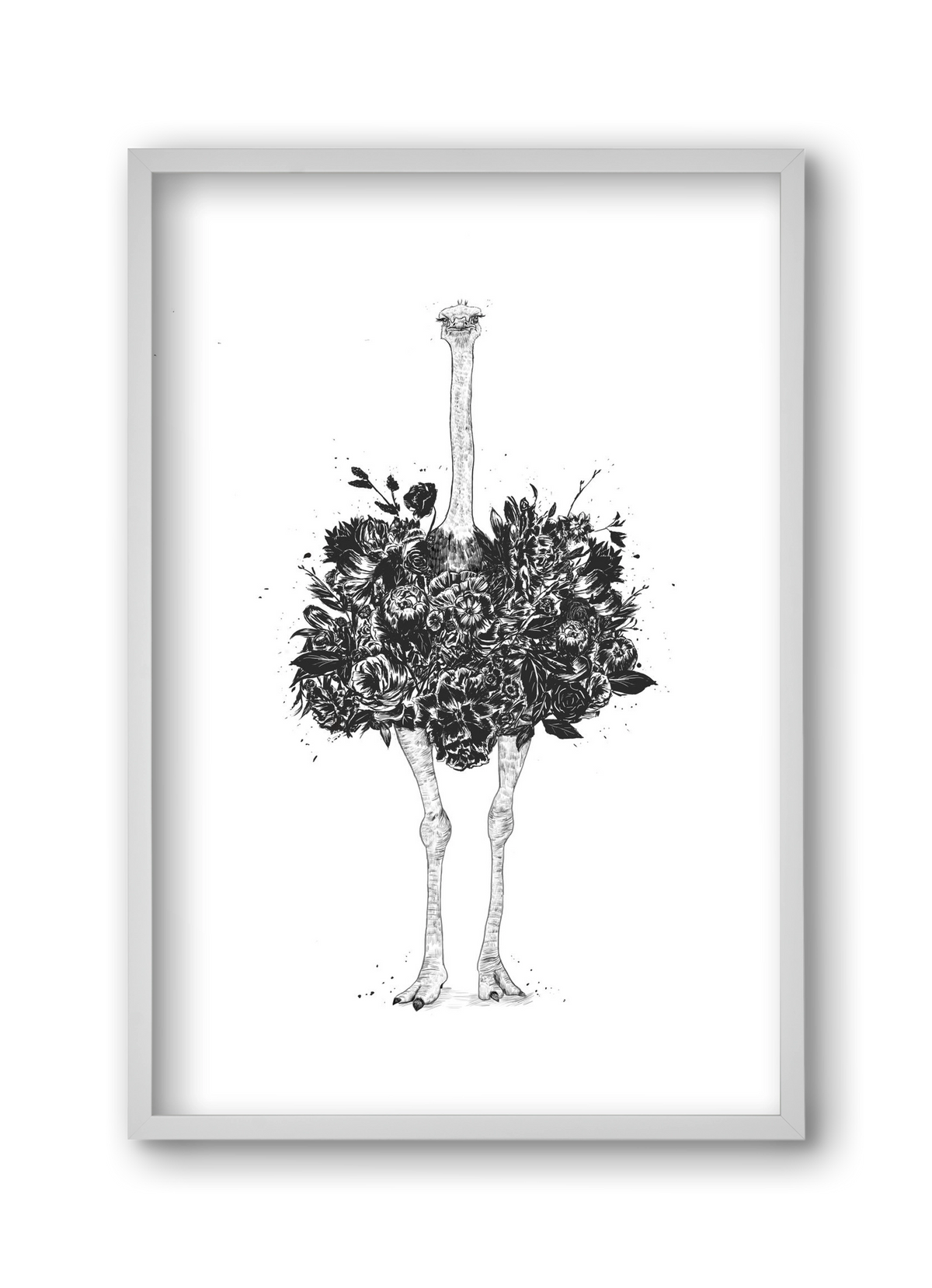 Floral ostrich, 30x45 cm (30x45 cm), Fehér keret