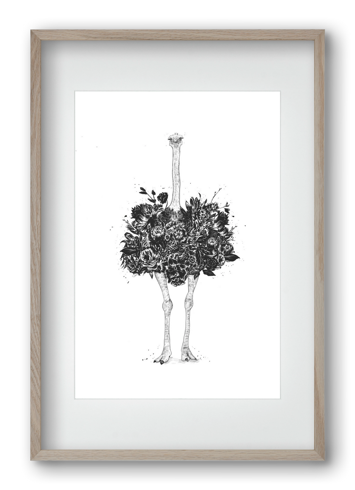 Floral ostrich, 40x60 cm (30x45 cm), Tölgy keret, paszpartuval