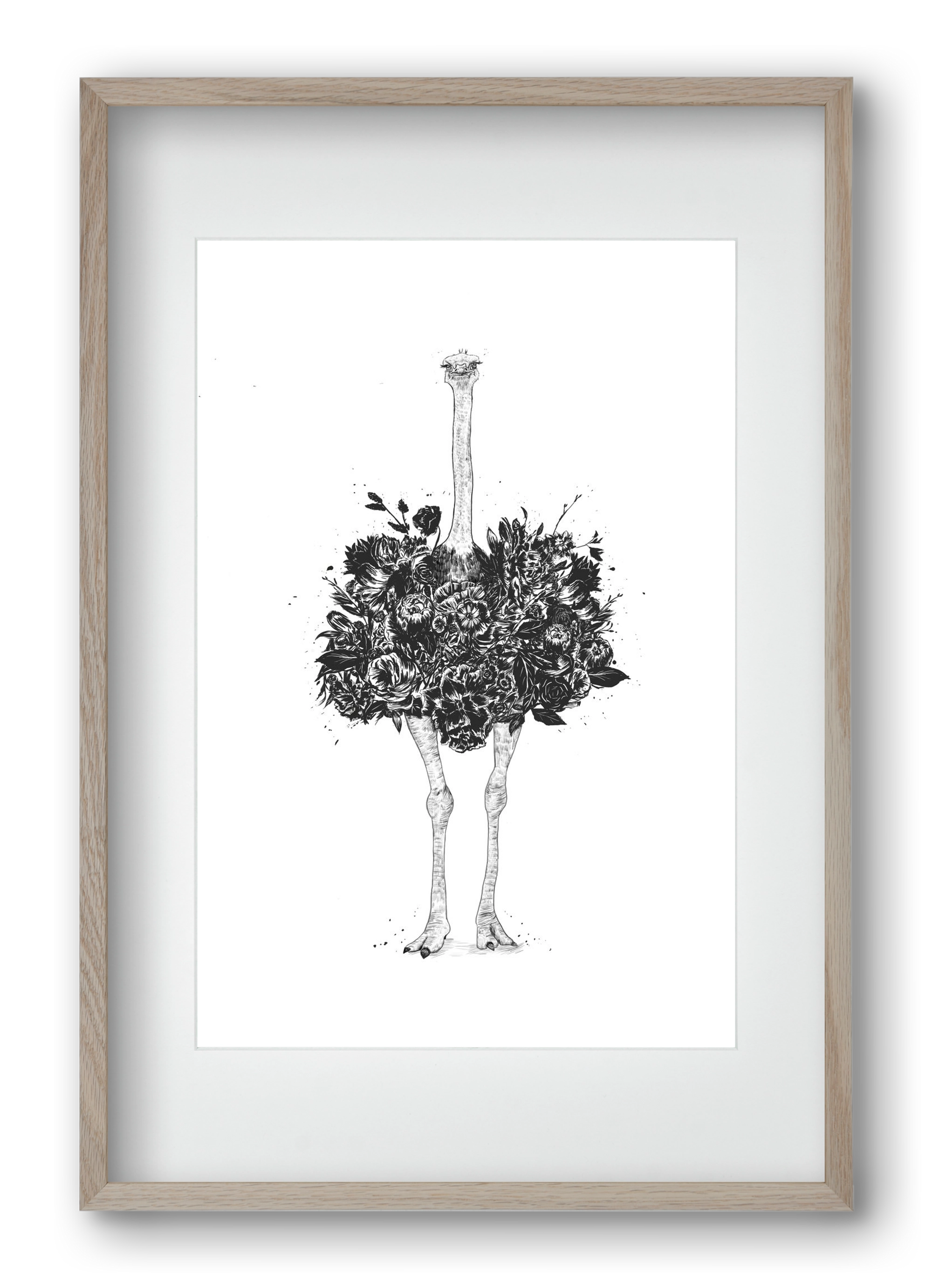 Floral ostrich, 40x60 cm (30x45 cm), Tölgy keret, paszpartuval