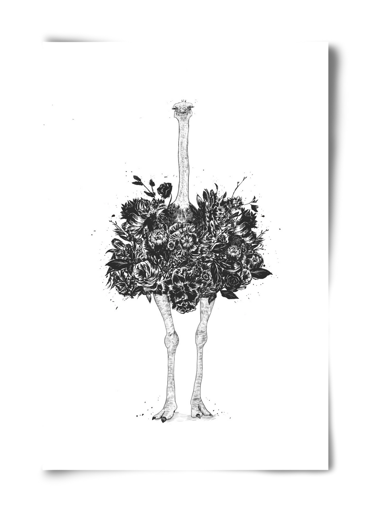 Floral ostrich, 40x60 cm, Keret nélkül