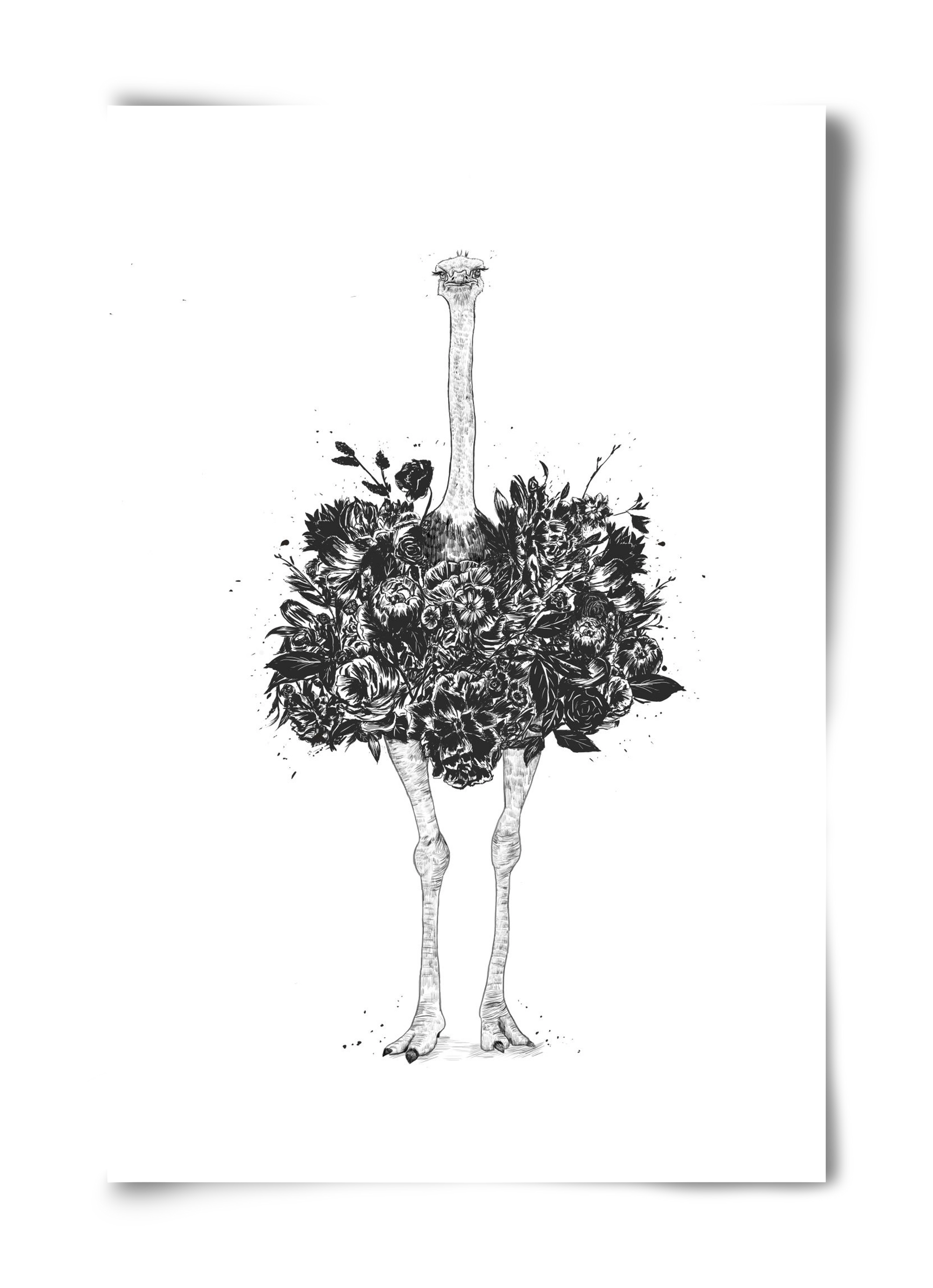 Floral ostrich, 40x60 cm, Keret nélkül
