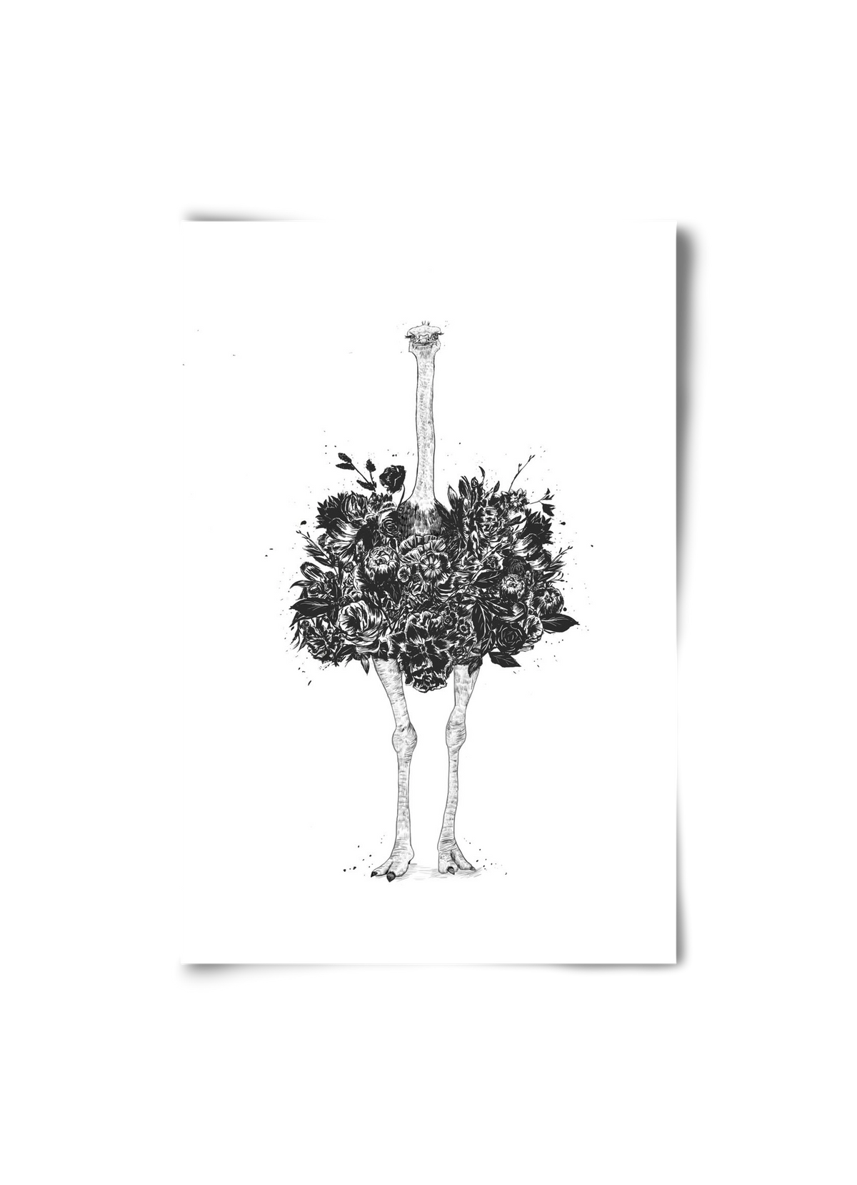 Floral ostrich, 20x30 cm, Keret nélkül