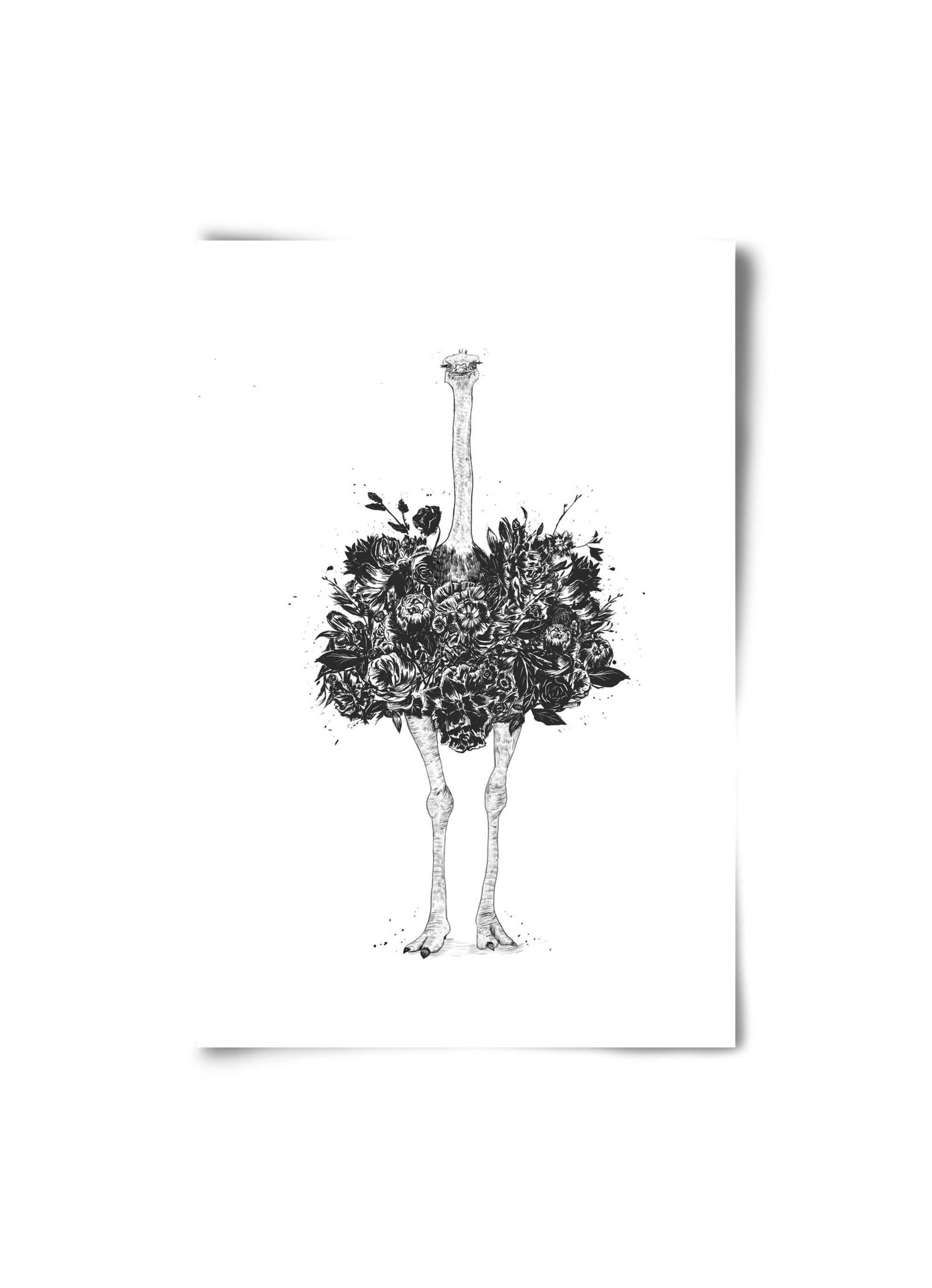 Floral ostrich, 20x30 cm, Keret nélkül