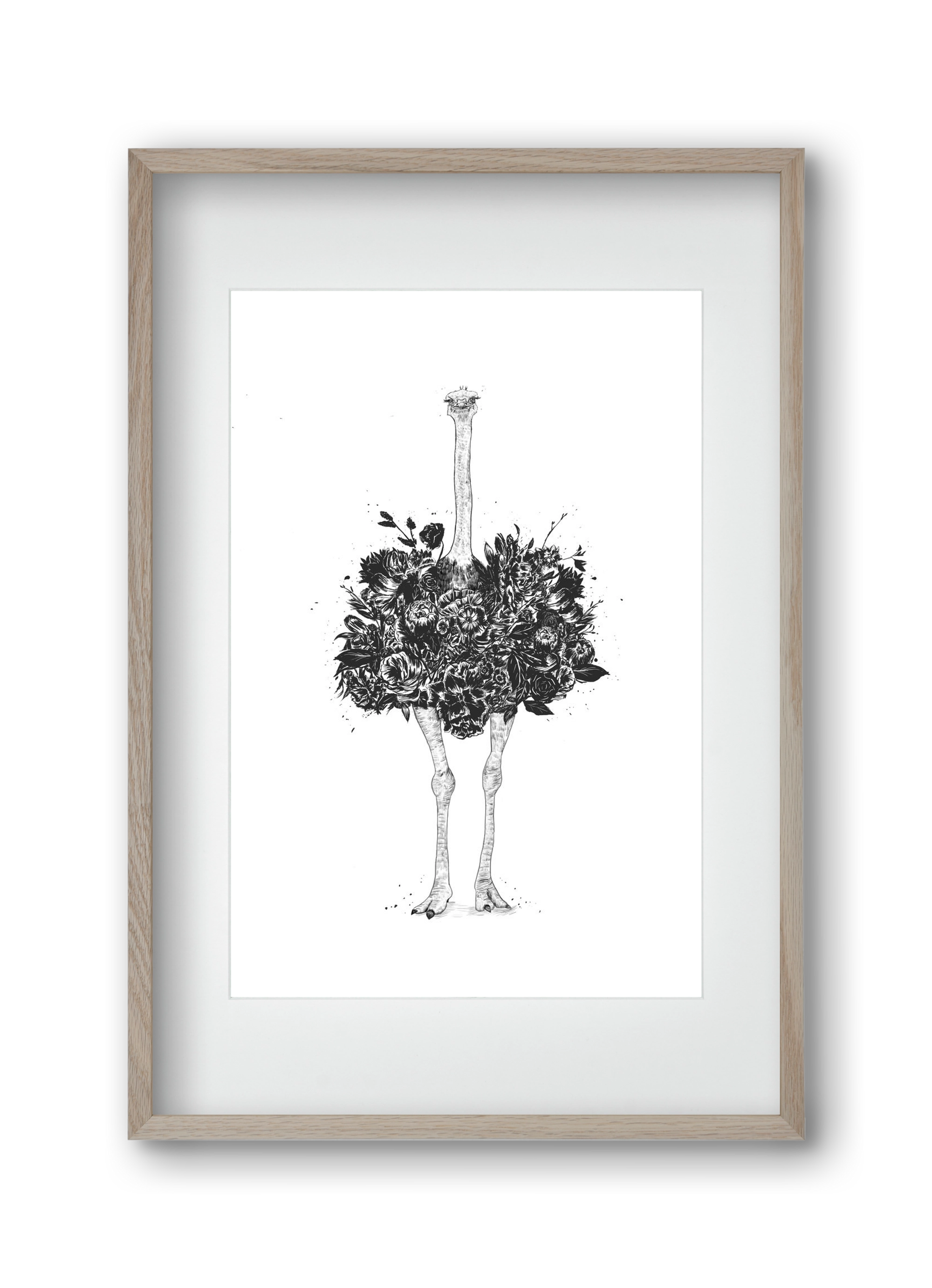 Floral ostrich, 30x45 cm (20x30 cm), Tölgy keret, paszpartuval