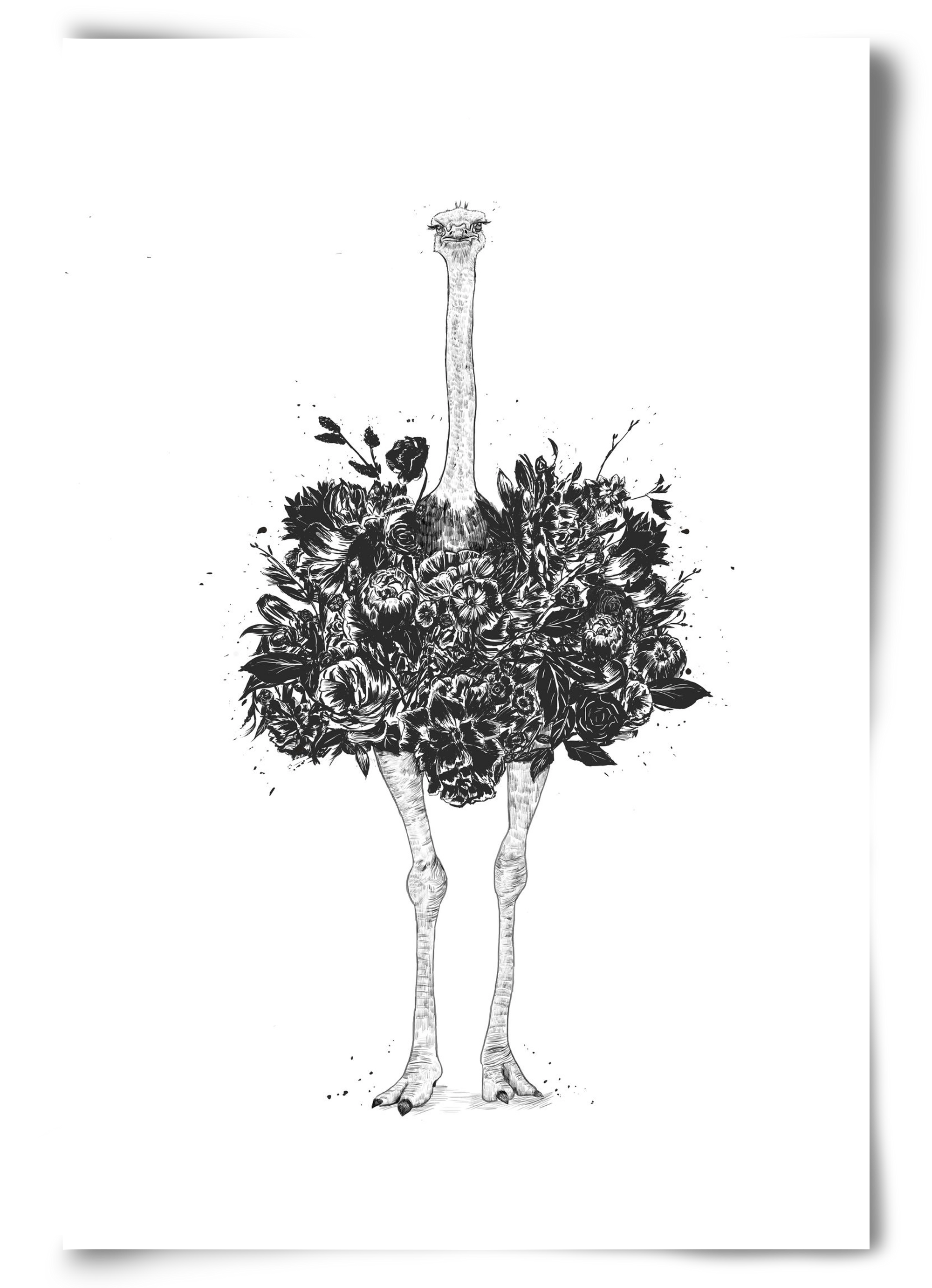 Floral ostrich, 60x90 cm, Keret nélkül