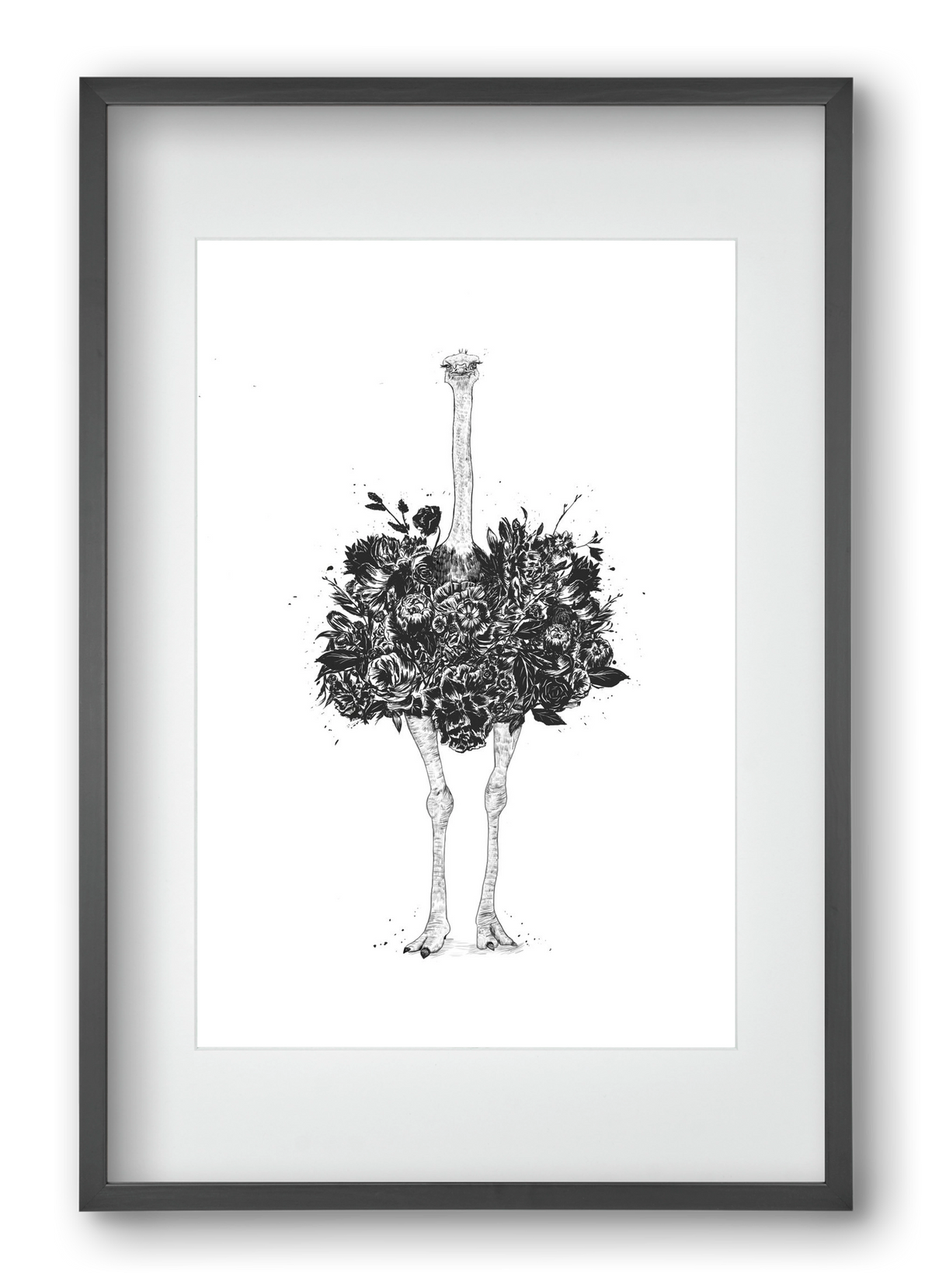 Floral ostrich, 40x60 cm (30x45 cm), Fekete keret, paszpartuval