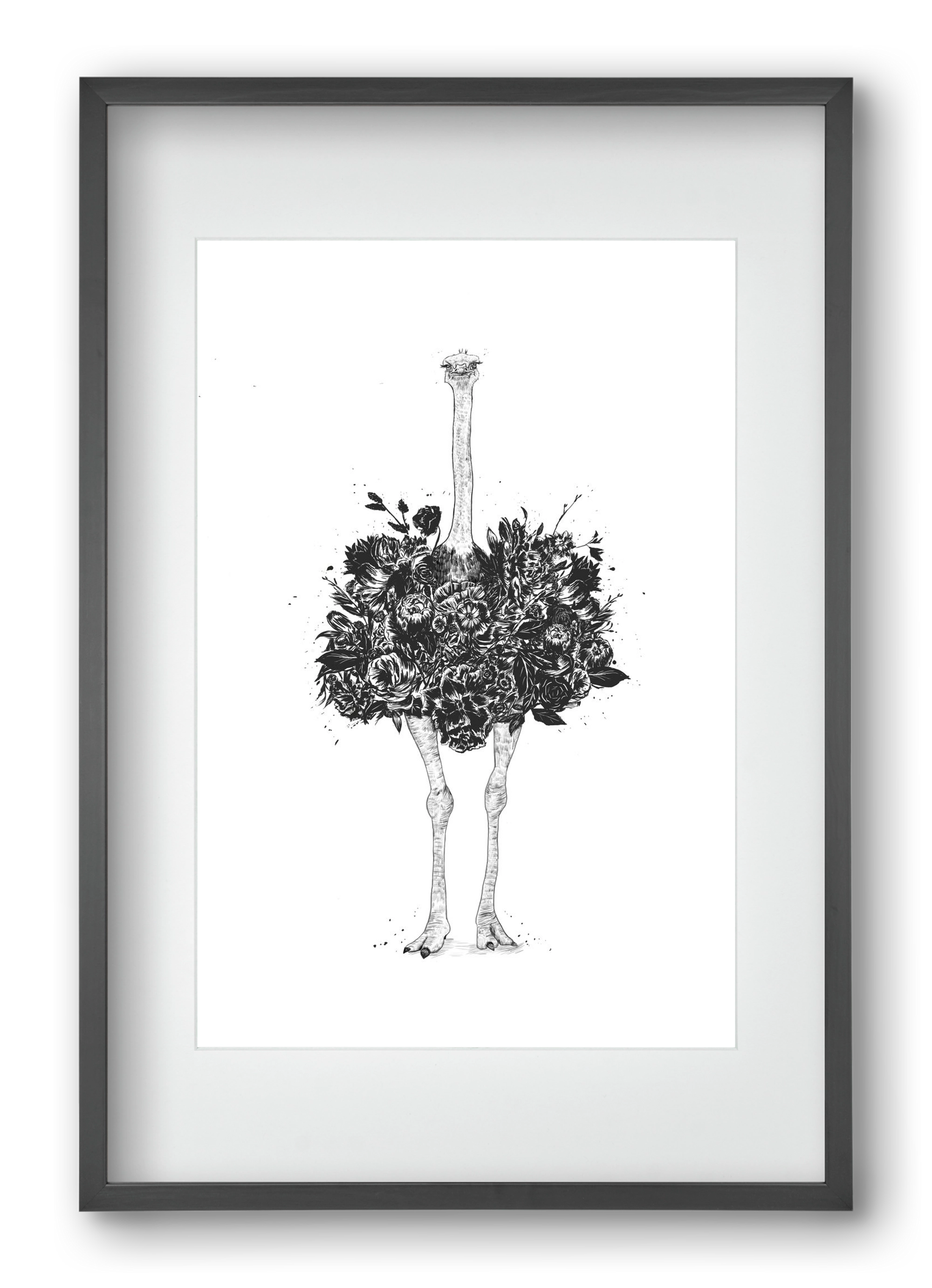 Floral ostrich, 40x60 cm (30x45 cm), Fekete keret, paszpartuval