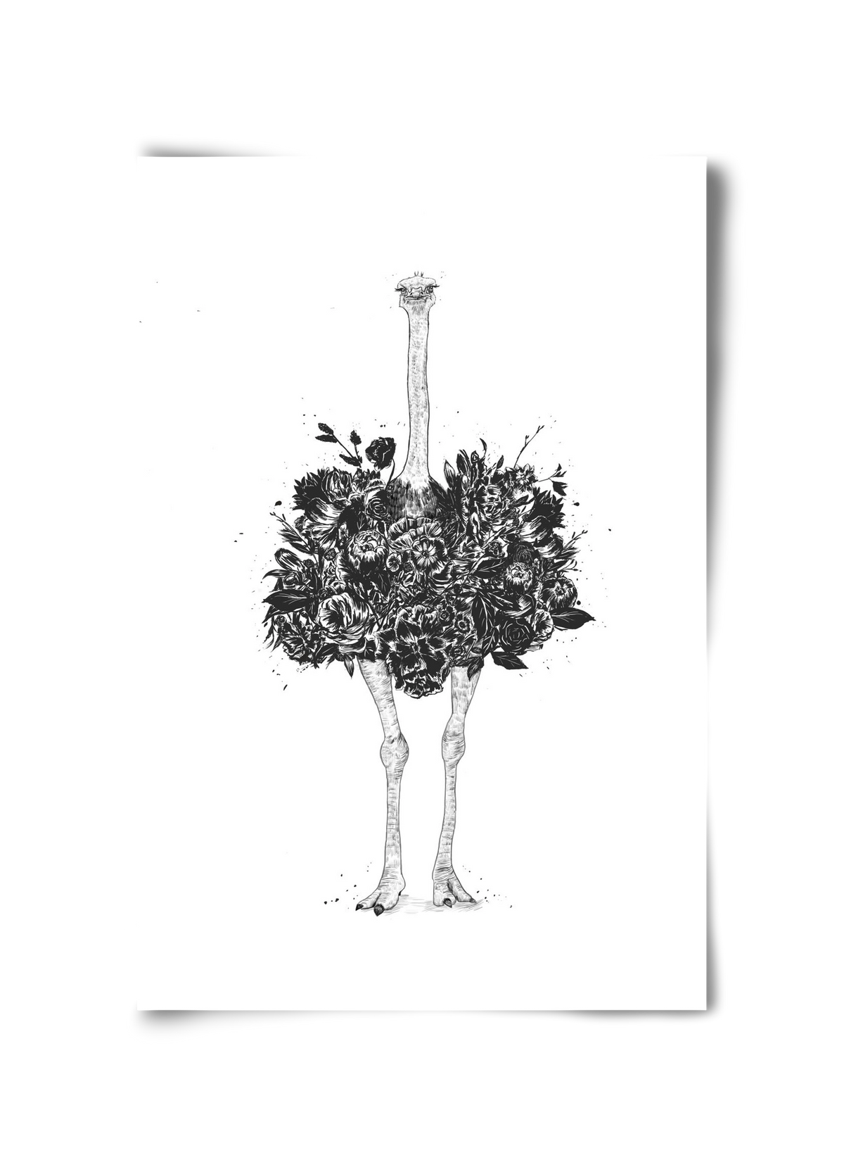Floral ostrich, 30x45 cm, Keret nélkül