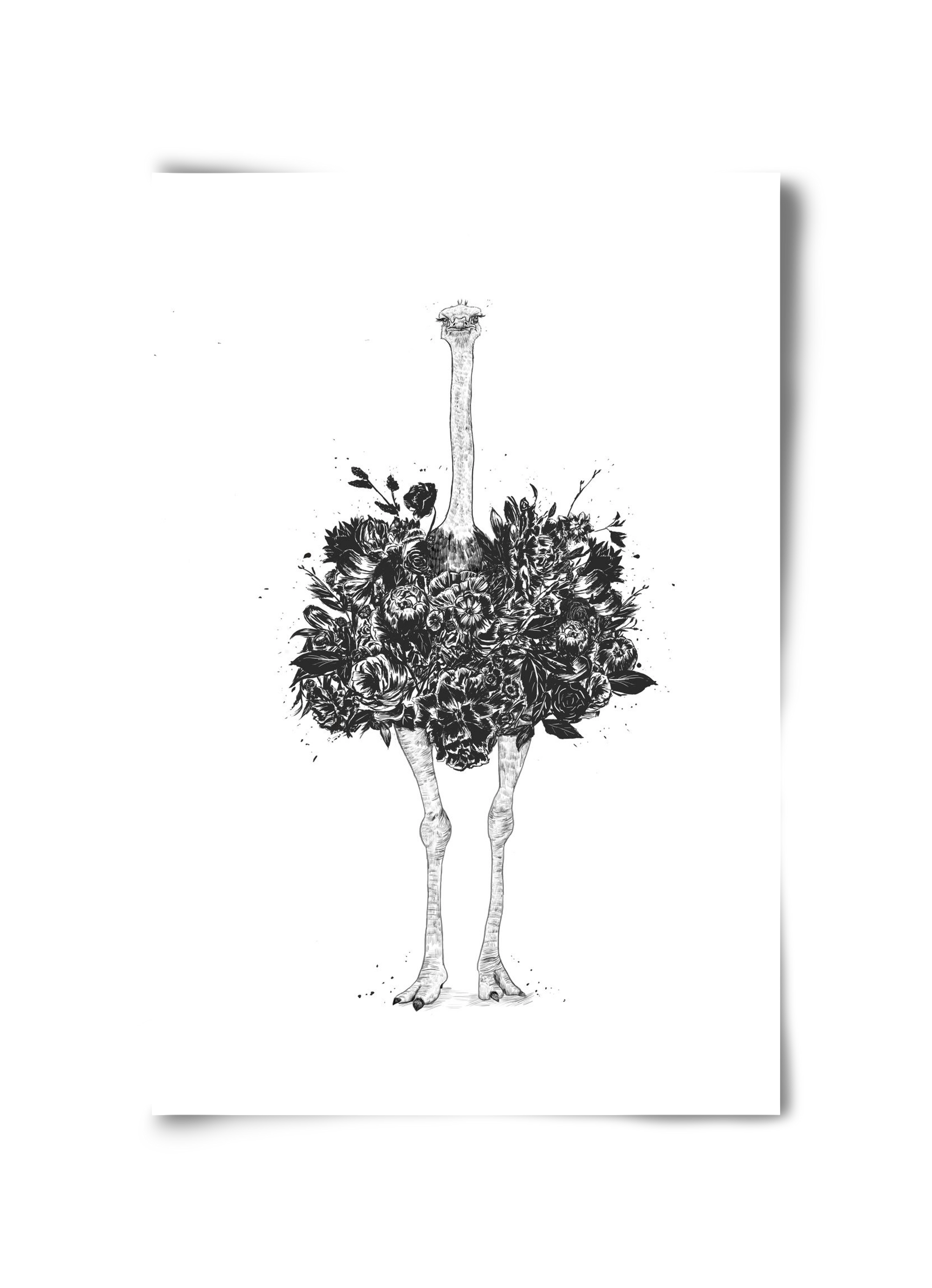 Floral ostrich, 30x45 cm, Keret nélkül