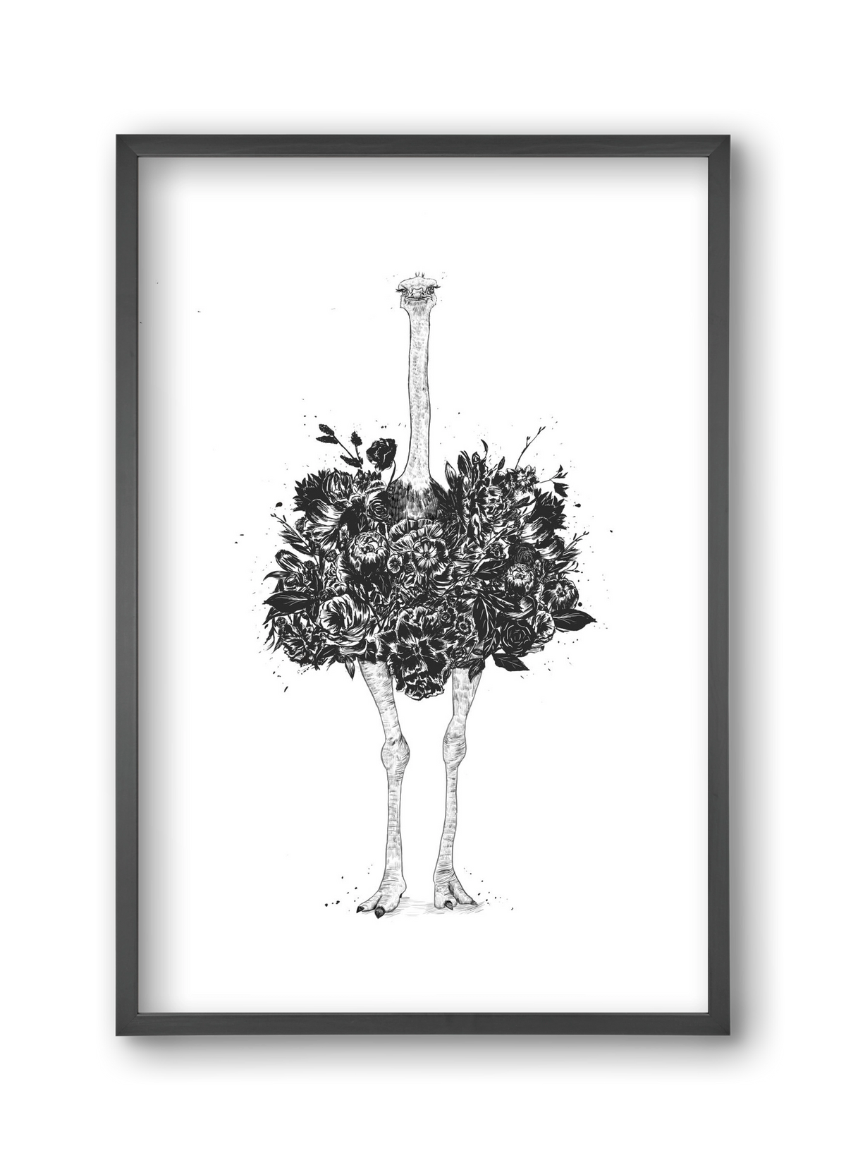 Floral ostrich, 30x45 cm (30x45 cm), Fekete keret