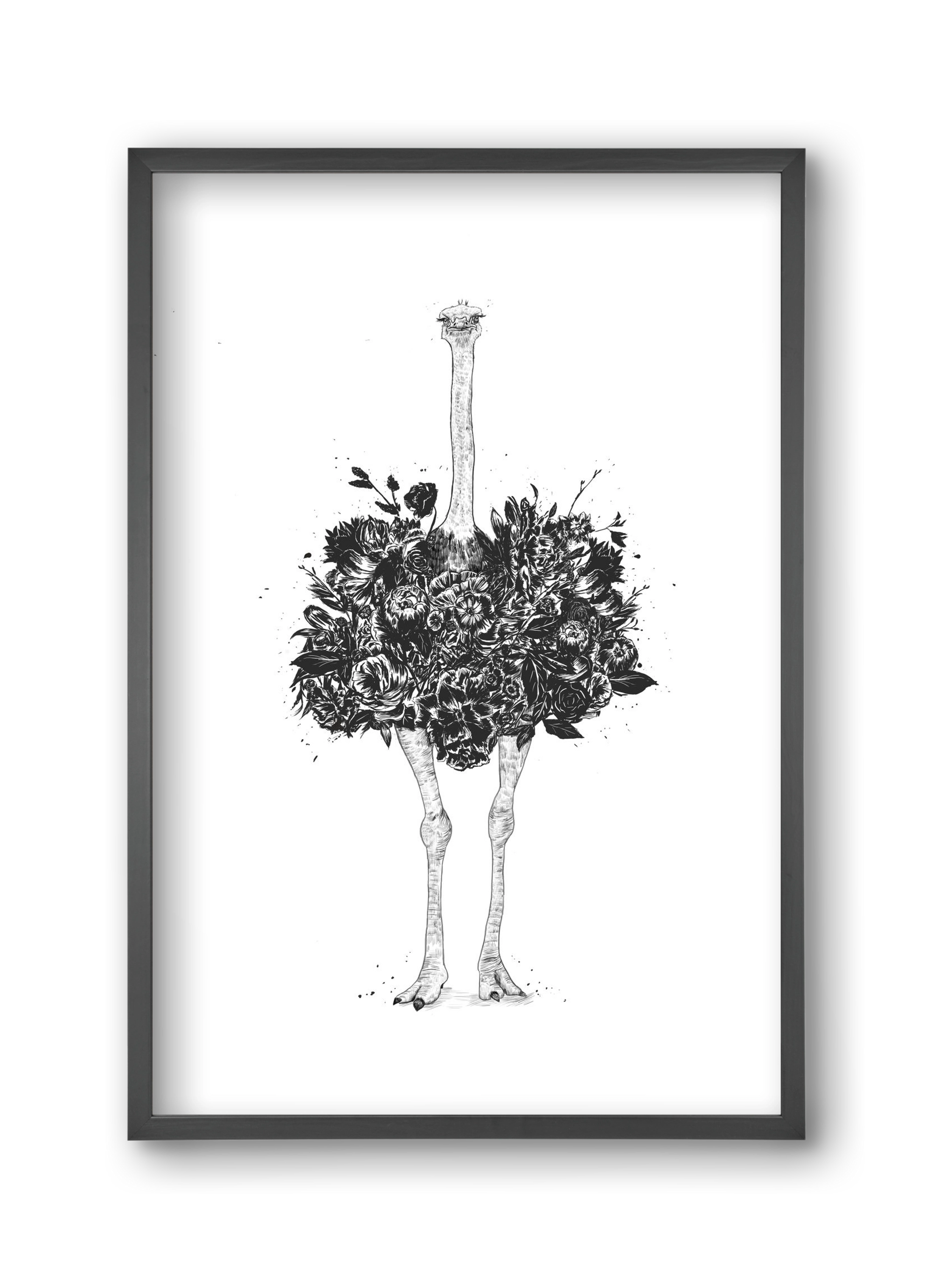 Floral ostrich, 30x45 cm (30x45 cm), Fekete keret