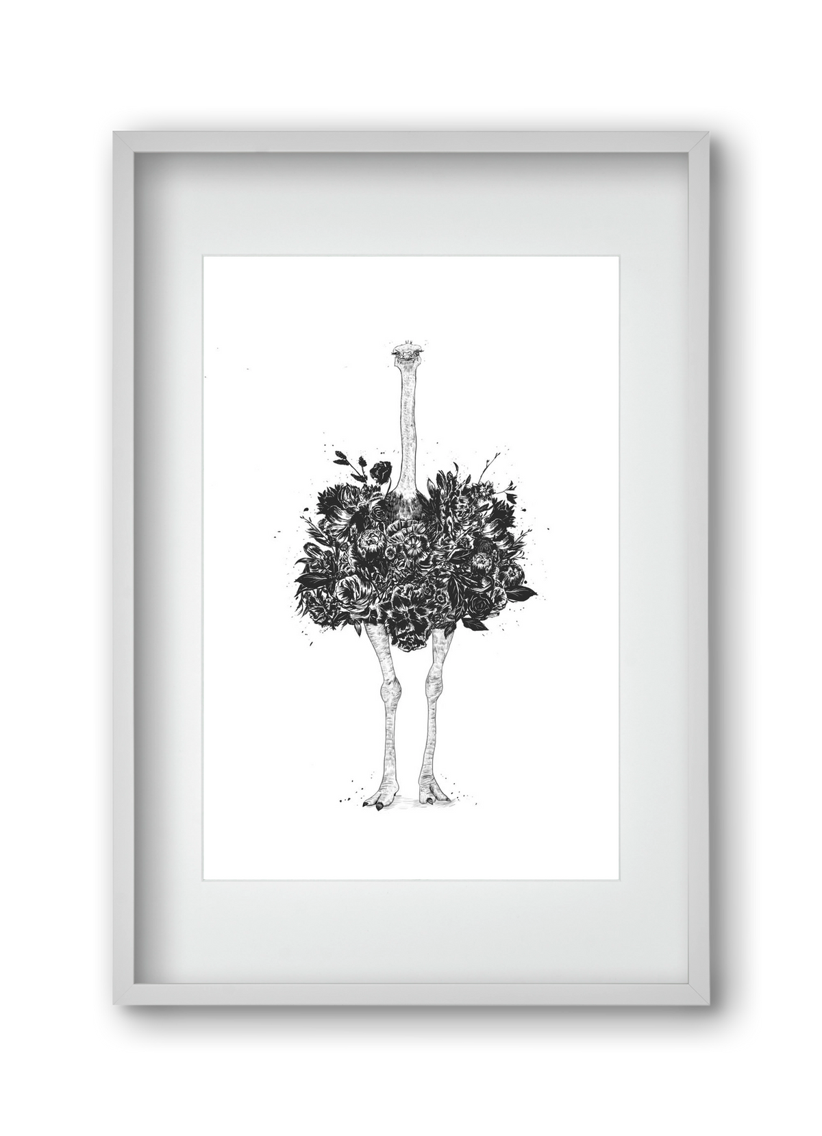 Floral ostrich, 30x45 cm (20x30 cm), Fehér keret, paszpartuval