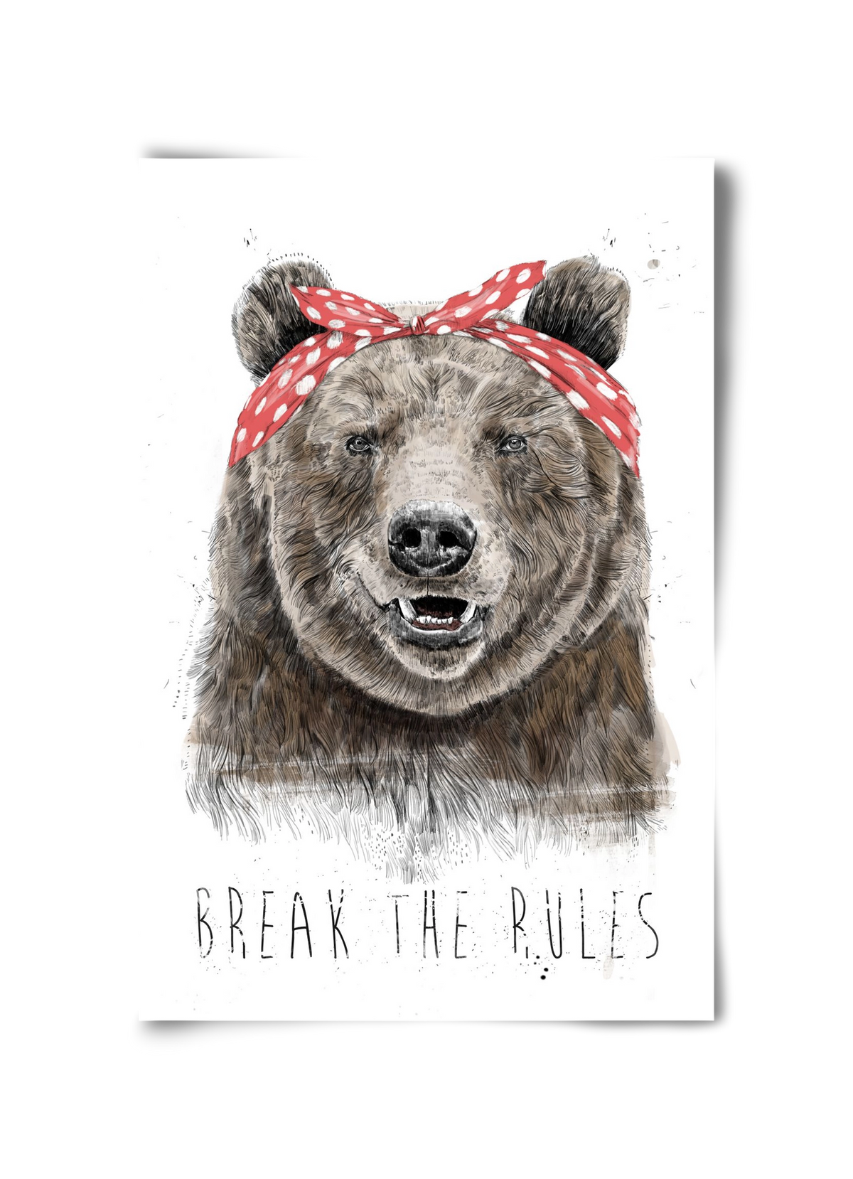 Break the rules II, 30x45 cm, Keret nélkül