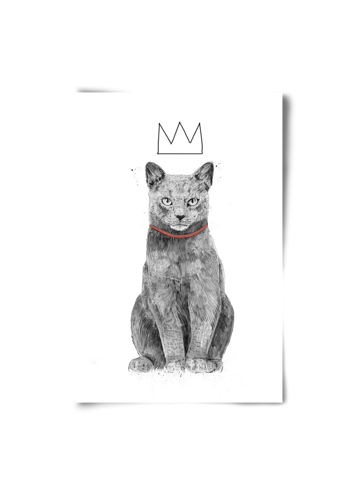 King Of Everything, 20x30 cm, Keret nélkül