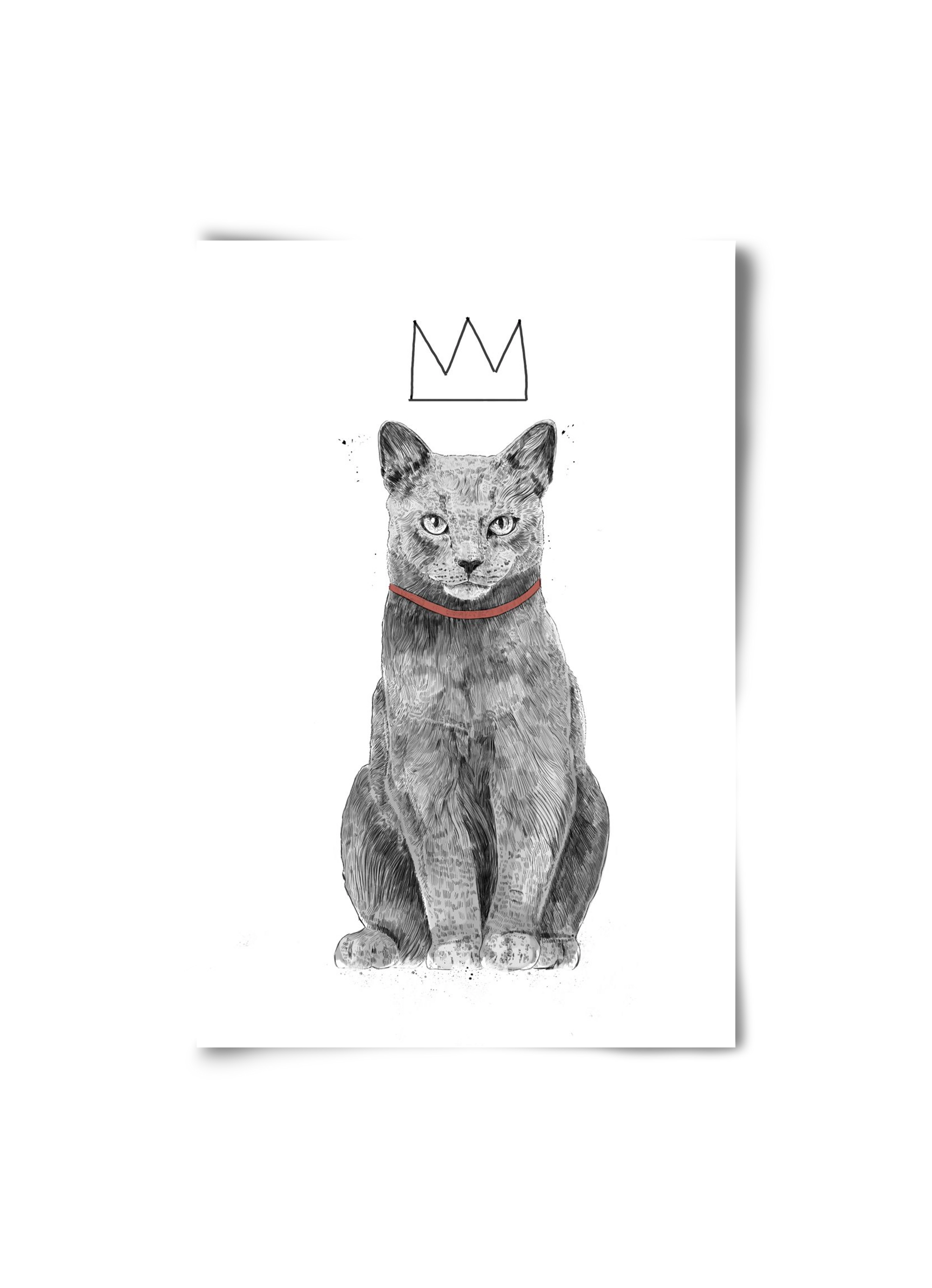 King Of Everything, 20x30 cm, Keret nélkül