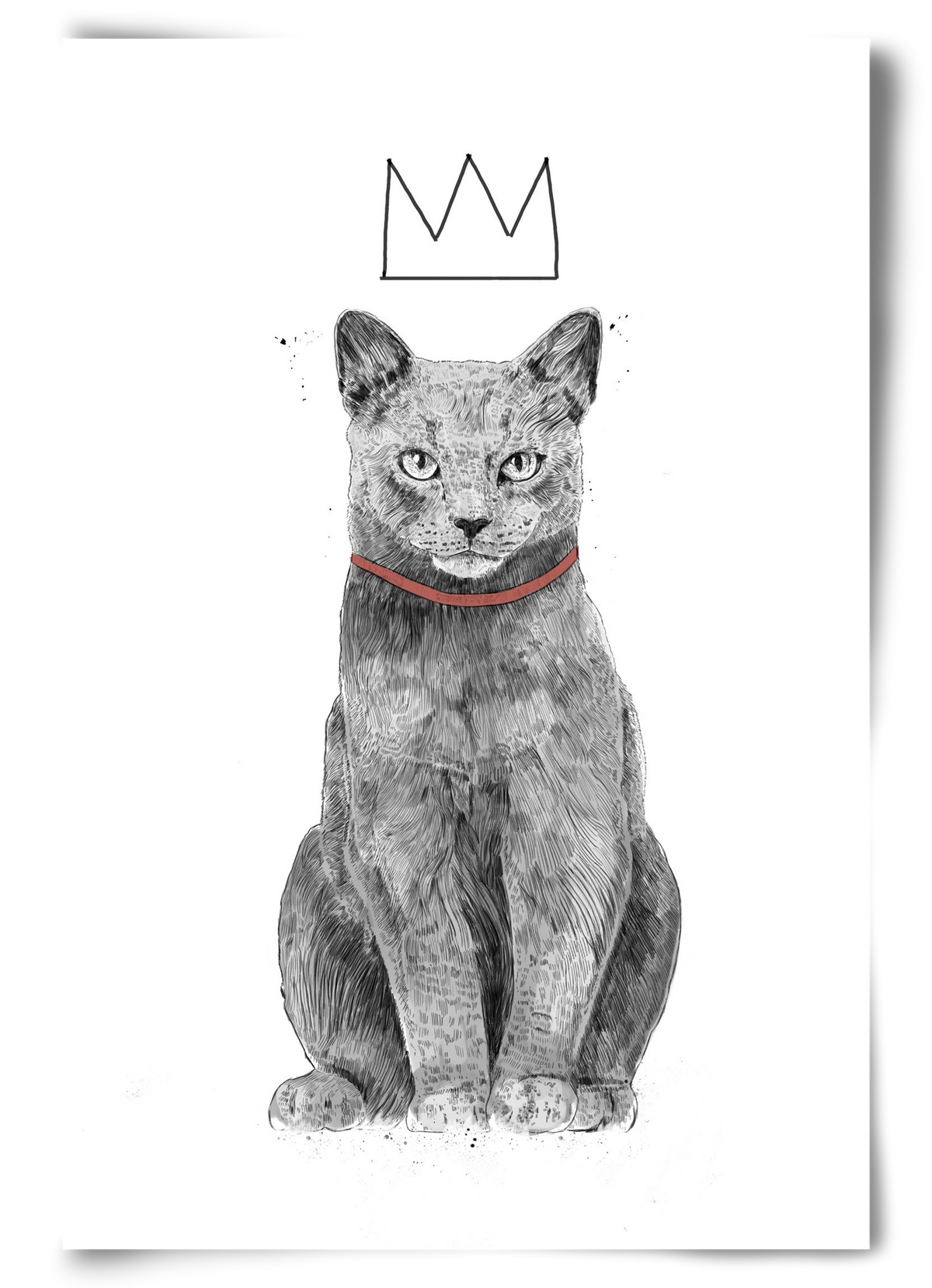 King Of Everything, 60x90 cm, Keret nélkül