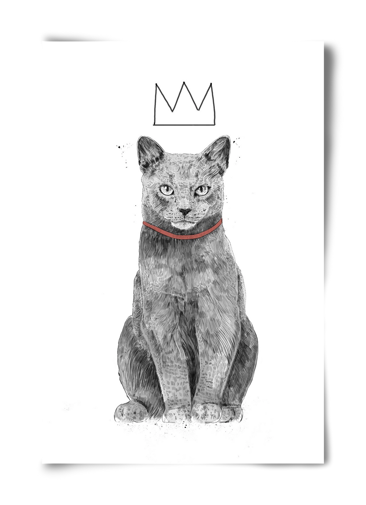 King Of Everything, 40x60 cm, Keret nélkül