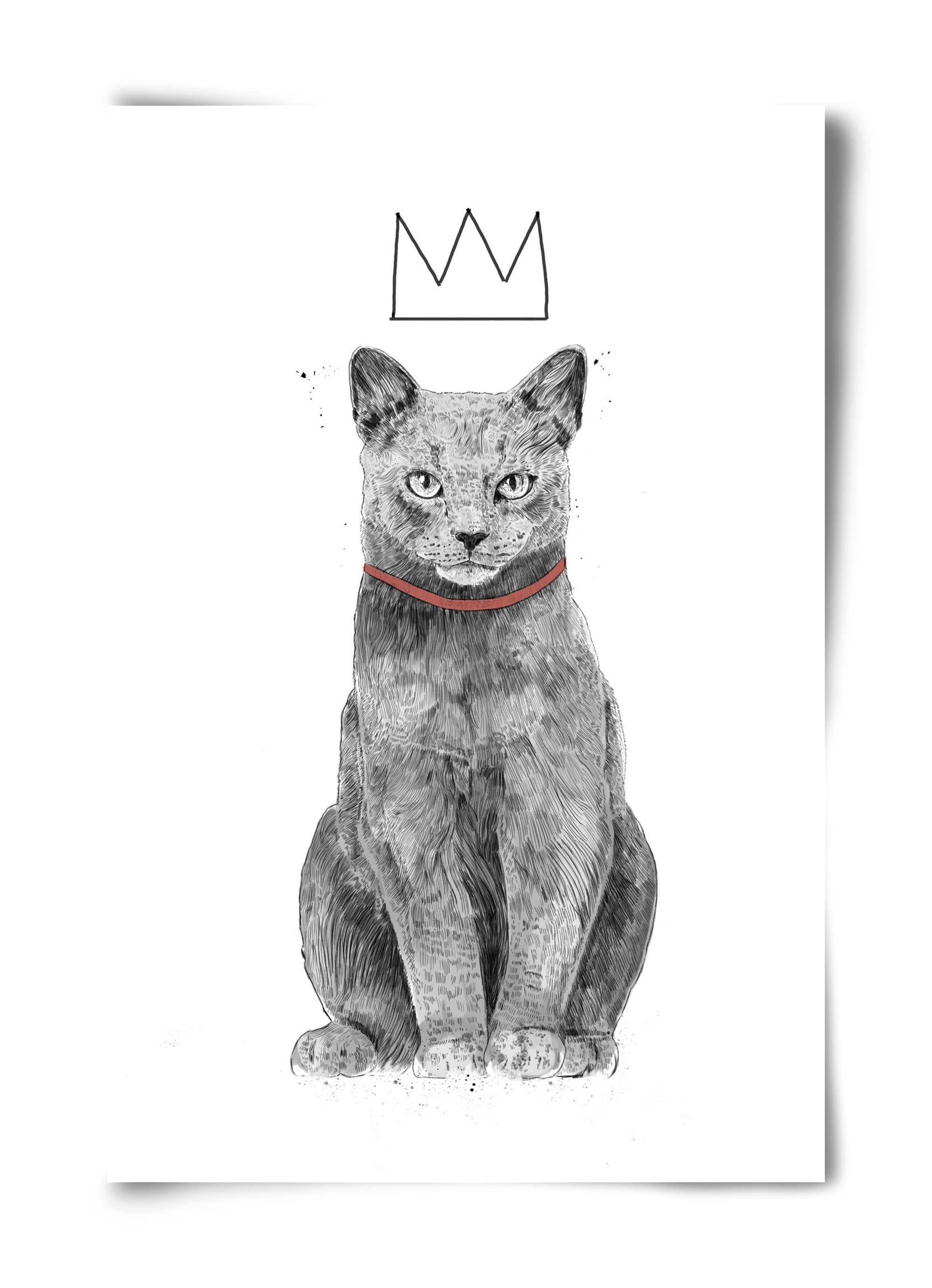 King Of Everything, 40x60 cm, Keret nélkül