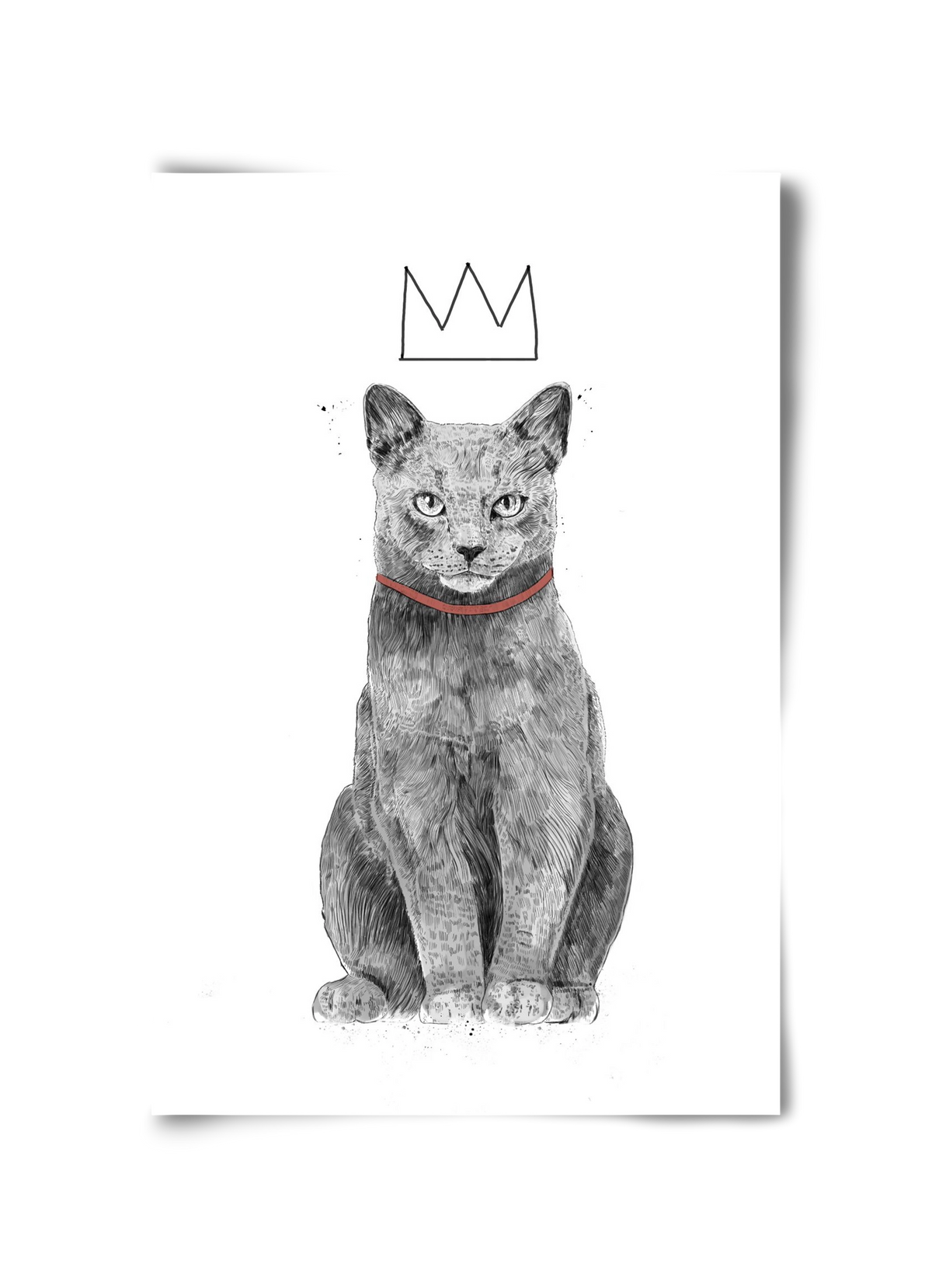 King Of Everything, 30x45 cm, Keret nélkül