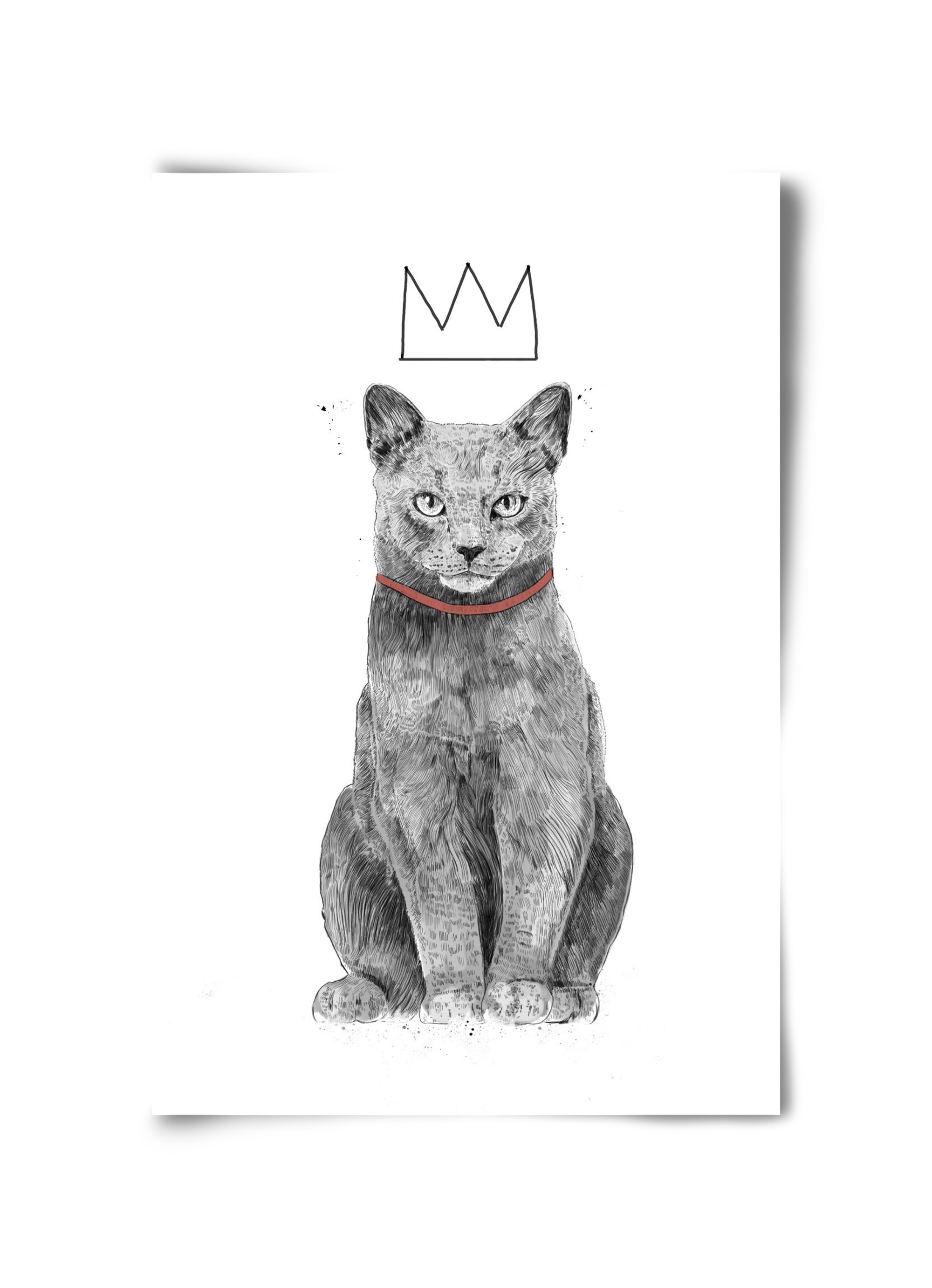 King Of Everything, 30x45 cm, Keret nélkül