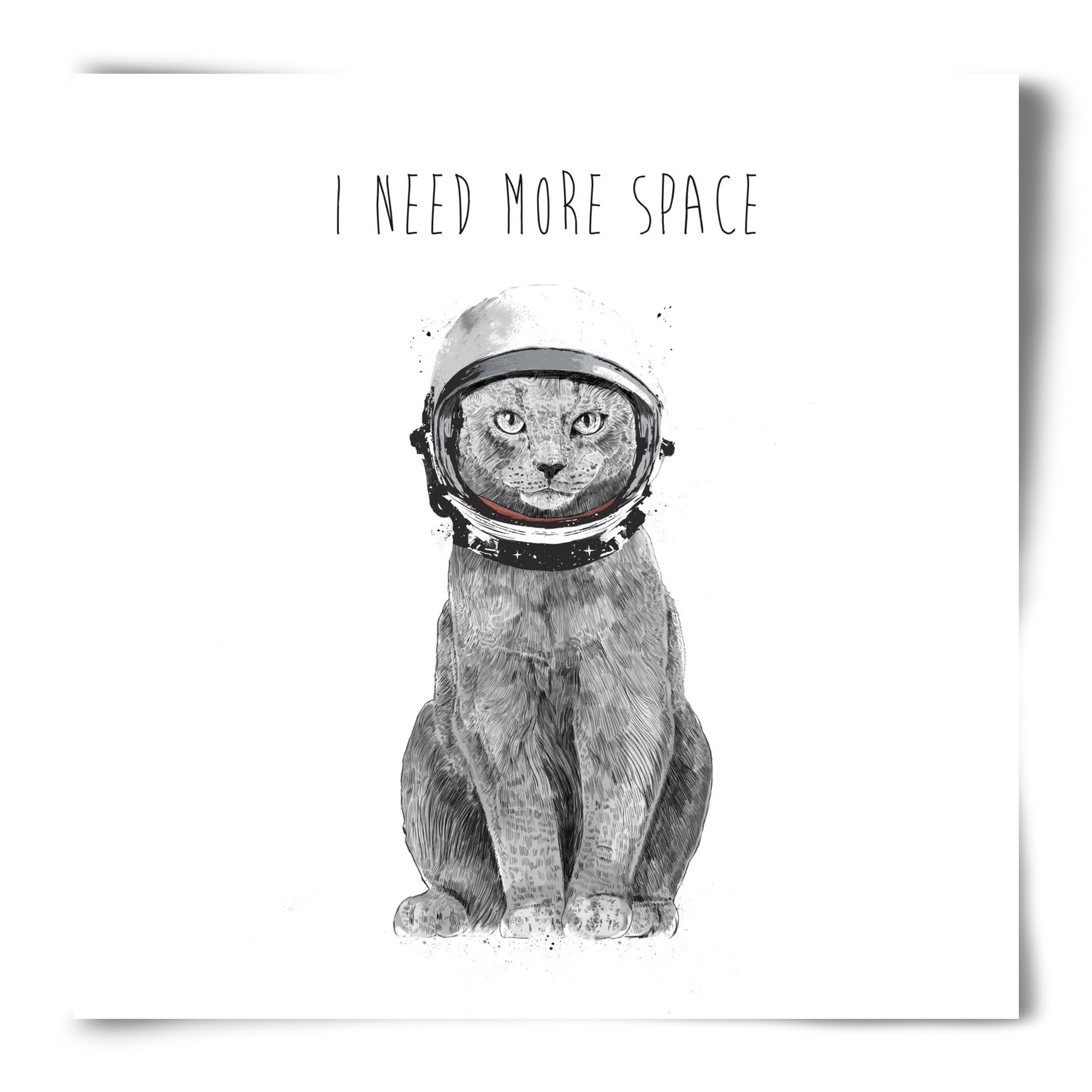 I need more space, 50x50 cm, Keret nélkül